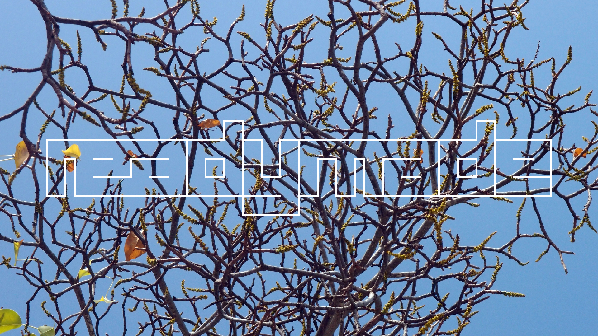 2022-04-15 Playa Kalki (am Strand und im Wasser) (Foto, Video)