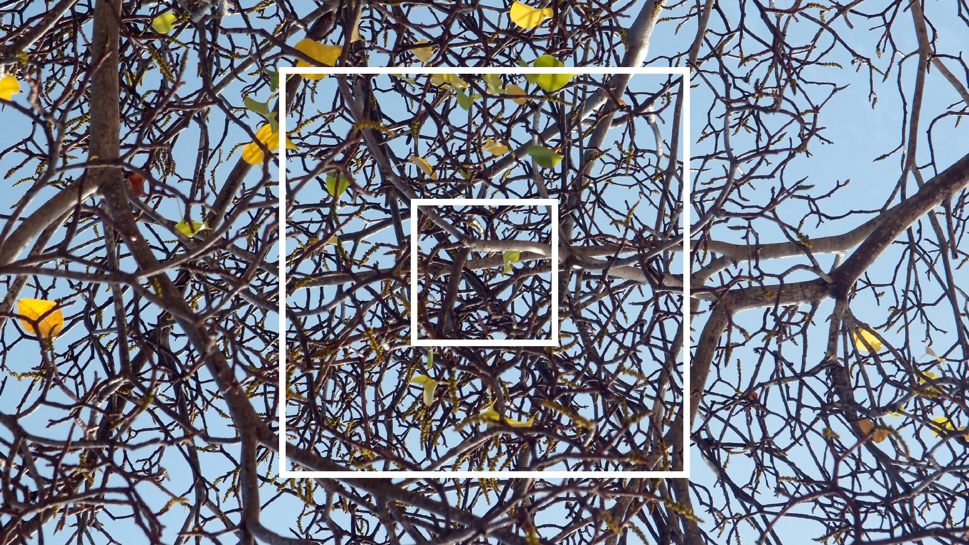 2022-04-15 Playa Kalki (am Strand und im Wasser) (Foto, Video)