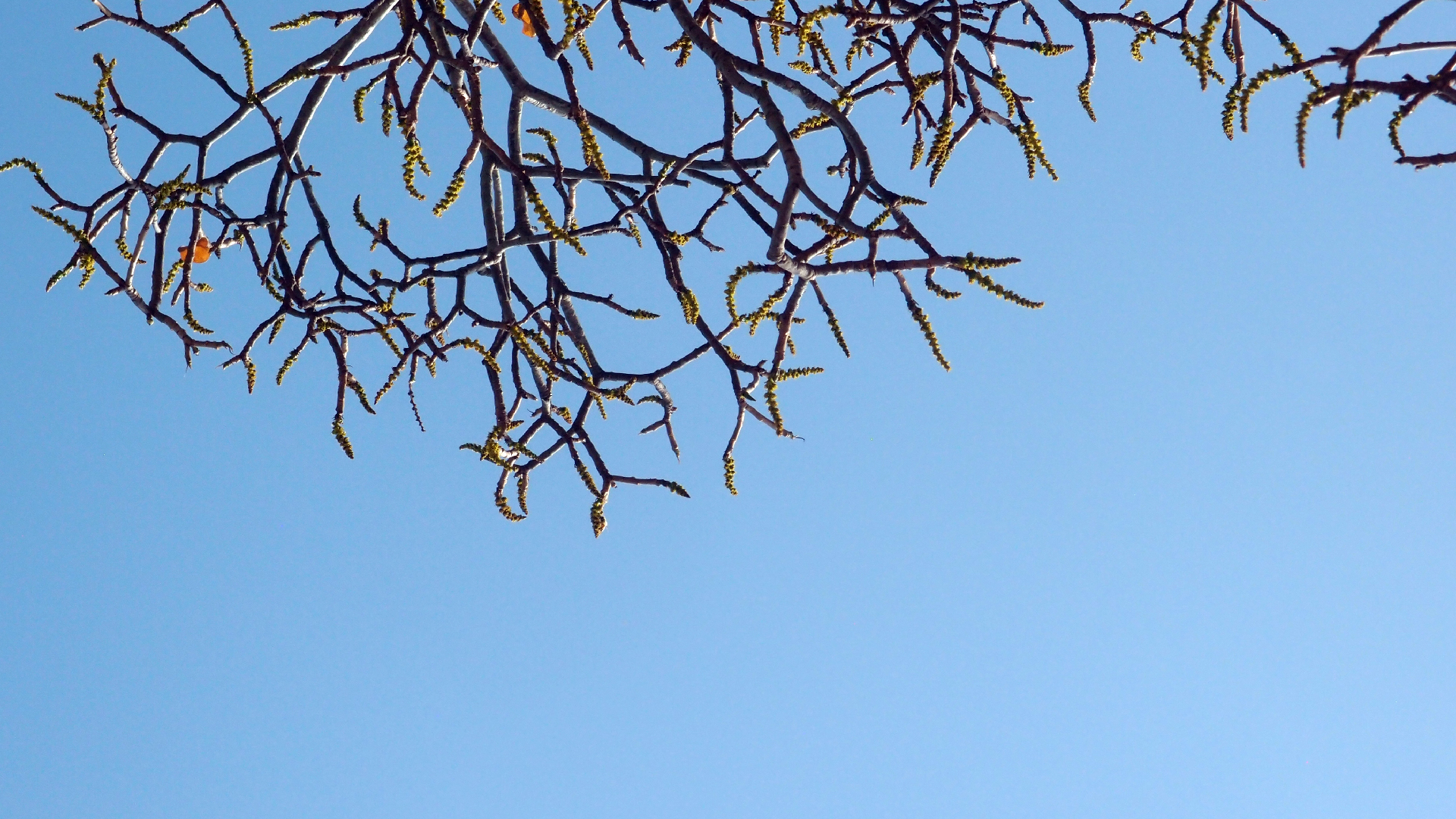 2022-04-15 Playa Kalki (am Strand und im Wasser) (Foto, Video)