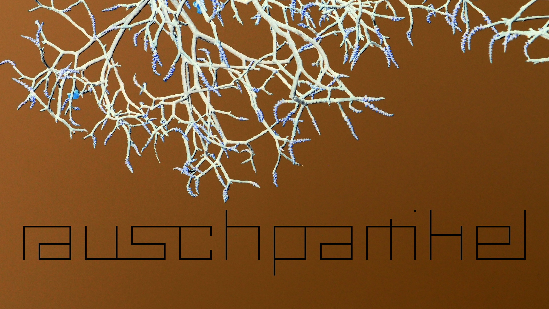 2022-04-15 Playa Kalki (am Strand und im Wasser) (Foto, Video)