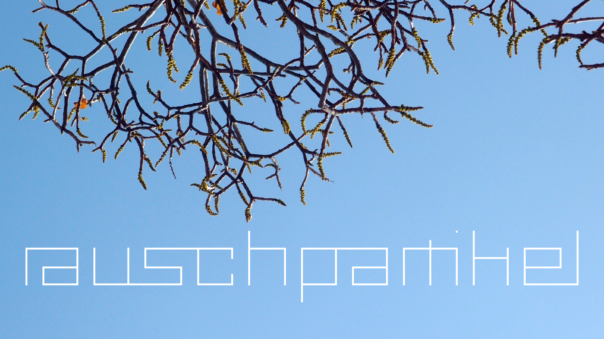 2022-04-15 Playa Kalki (am Strand und im Wasser) (Foto, Video)