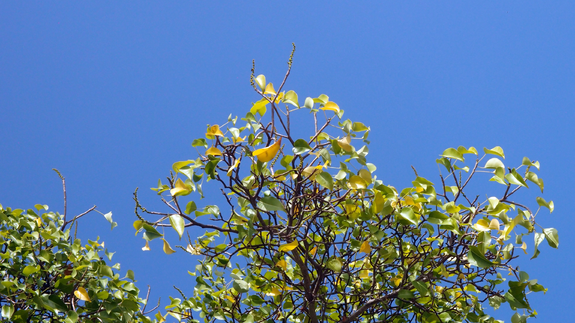 2022-04-15 Playa Kalki (am Strand und im Wasser) (Foto, Video)