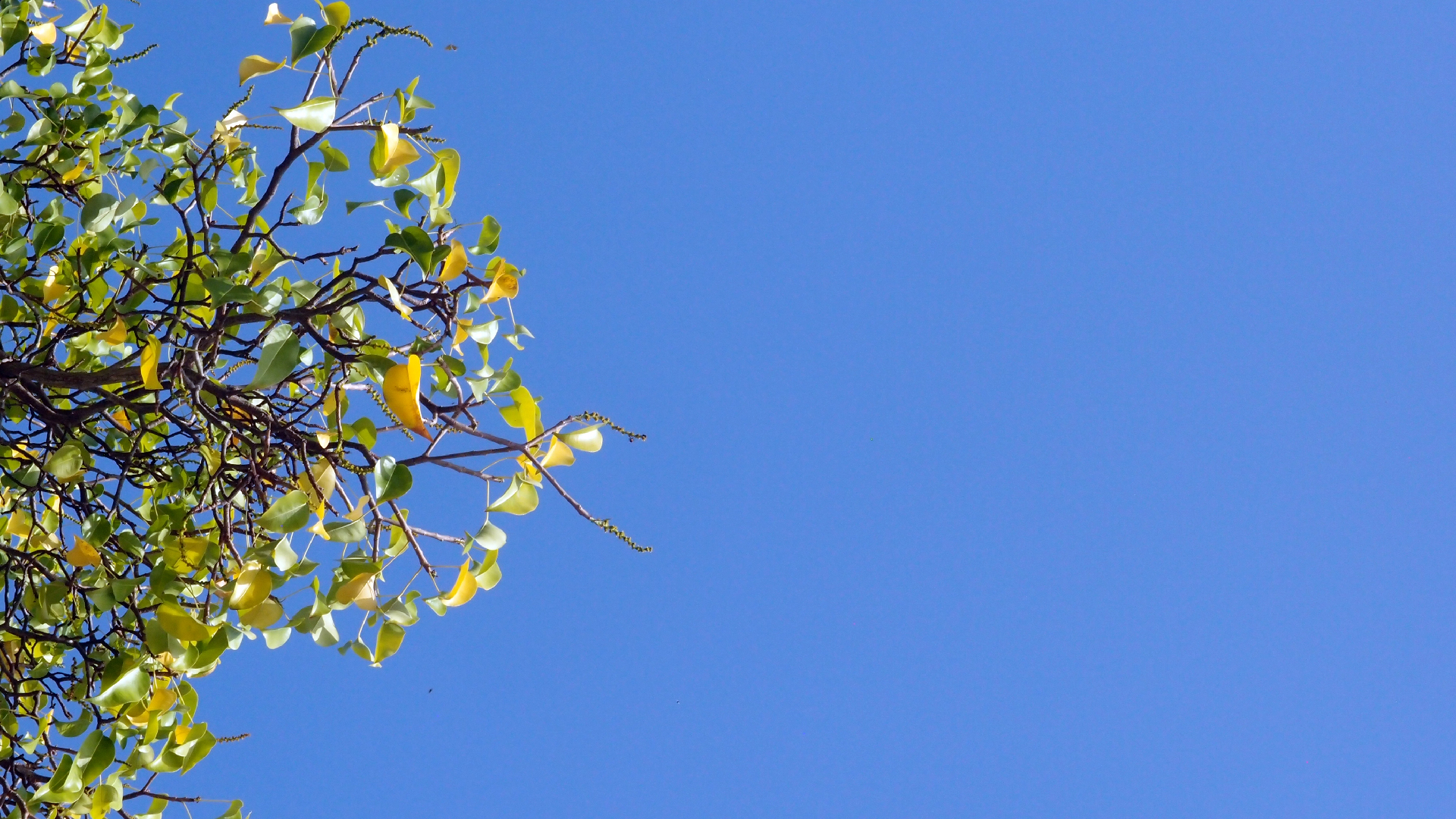 2022-04-15 Playa Kalki (am Strand und im Wasser) (Foto, Video)