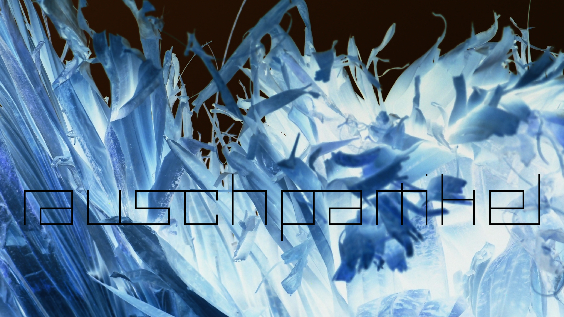 2022-04-15 Playa Kalki (am Strand und im Wasser) (Foto, Video)