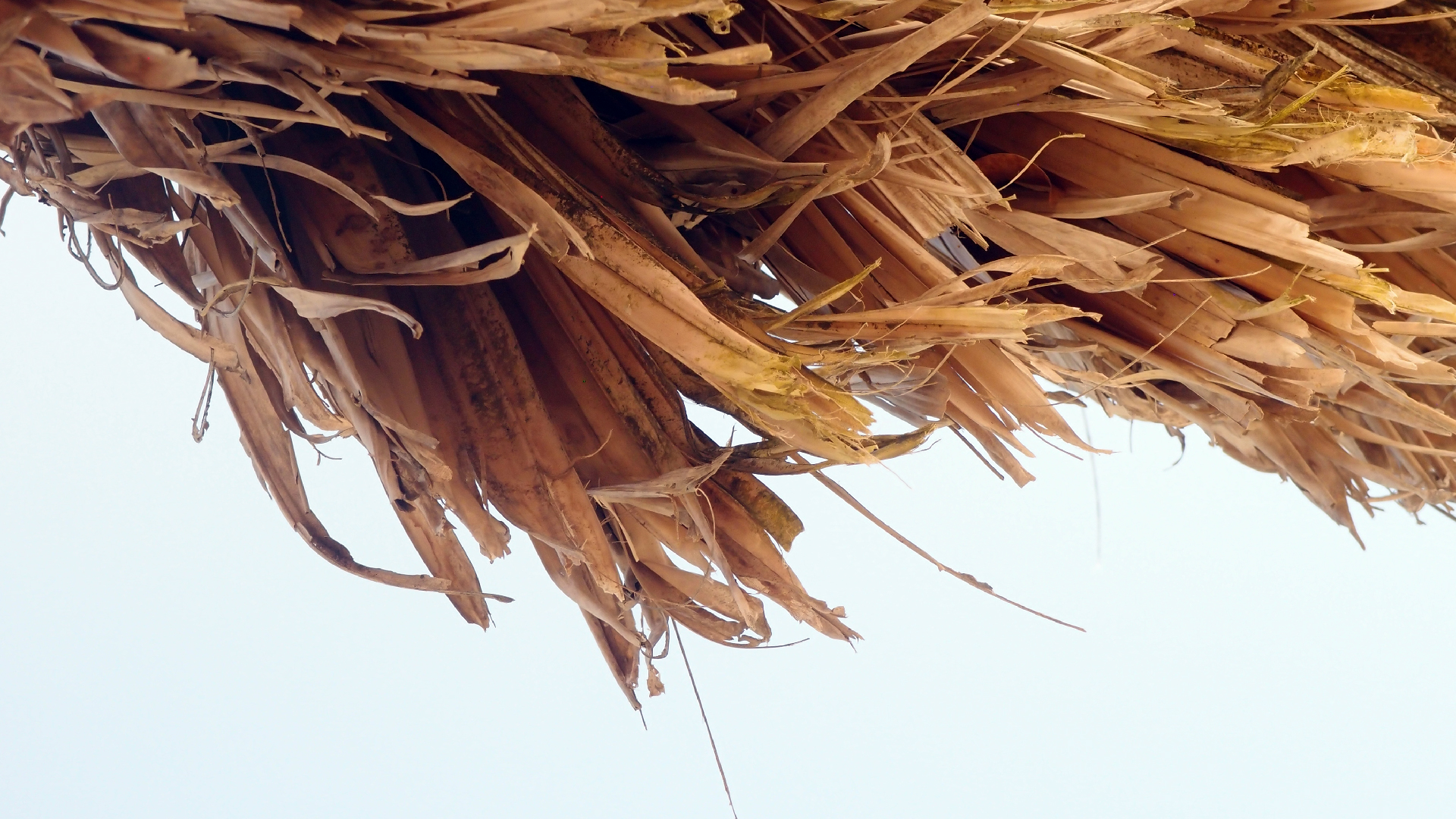 2022-04-15 Playa Kalki (am Strand und im Wasser) (Foto, Video)