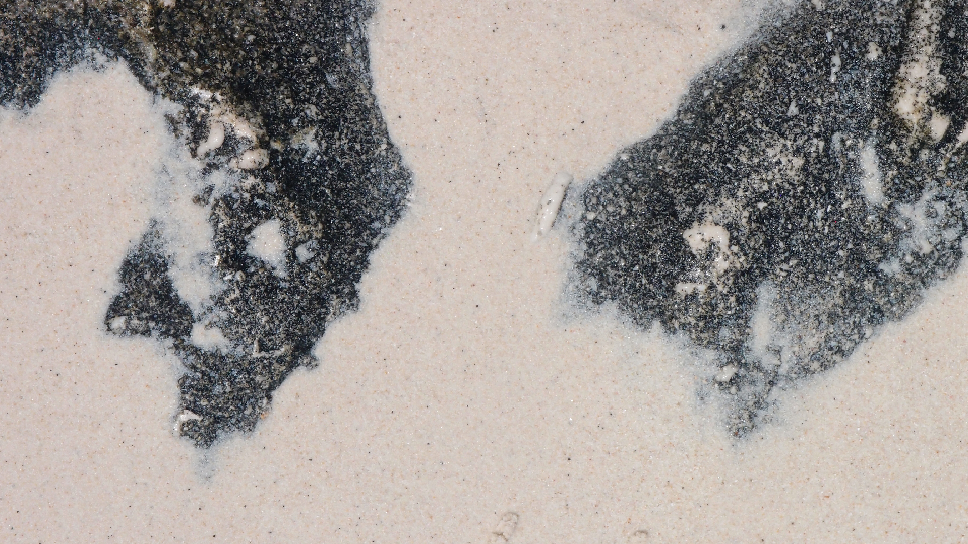 2022-04-16 01 Cas Abao (Foto, Video)