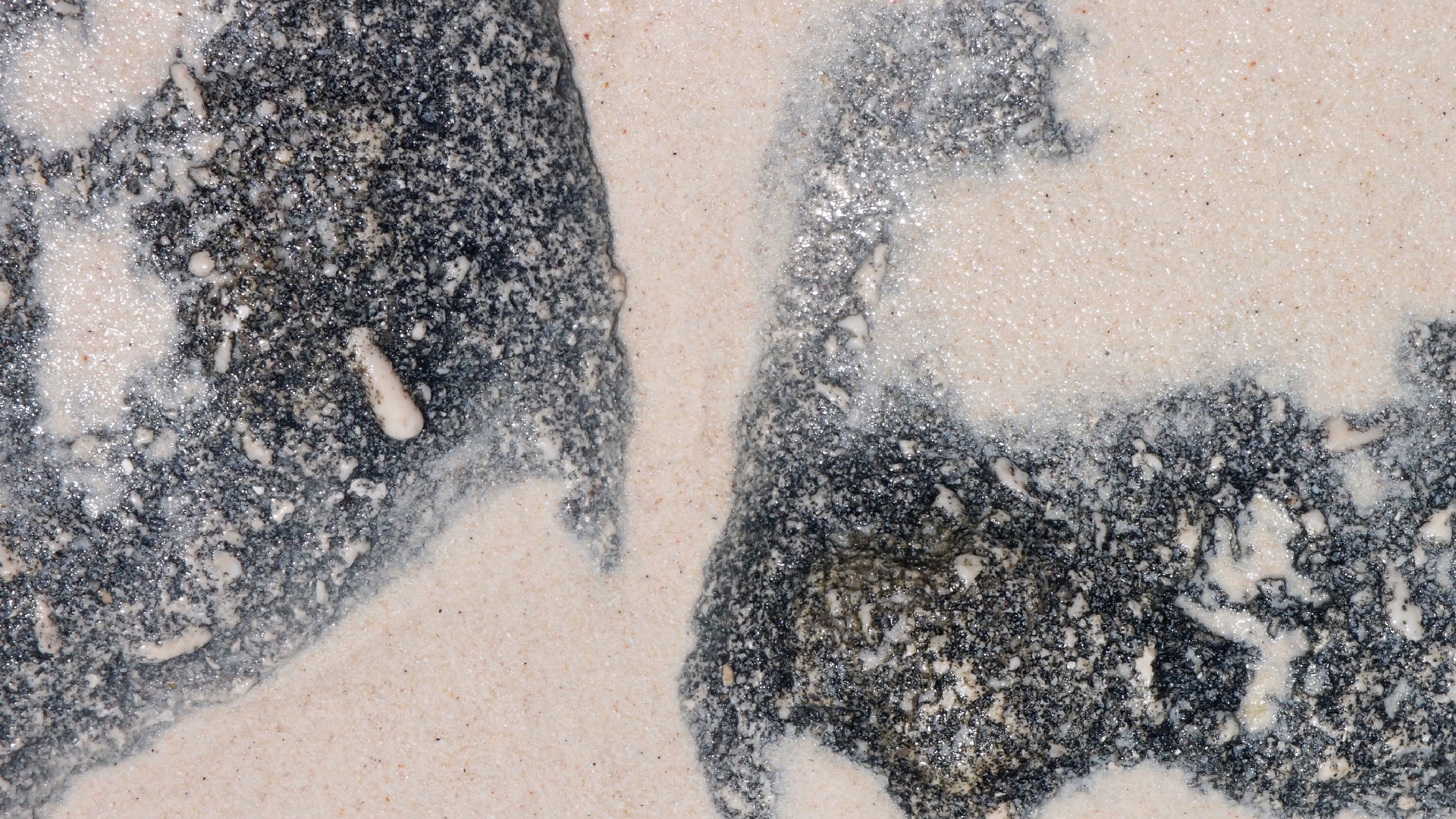 2022-04-16 01 Cas Abao (Foto, Video)