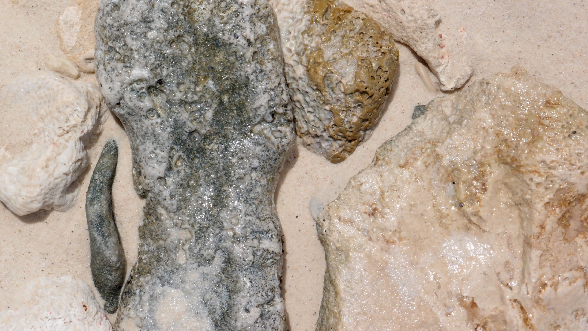 2022-04-16 01 Cas Abao (Foto, Video)