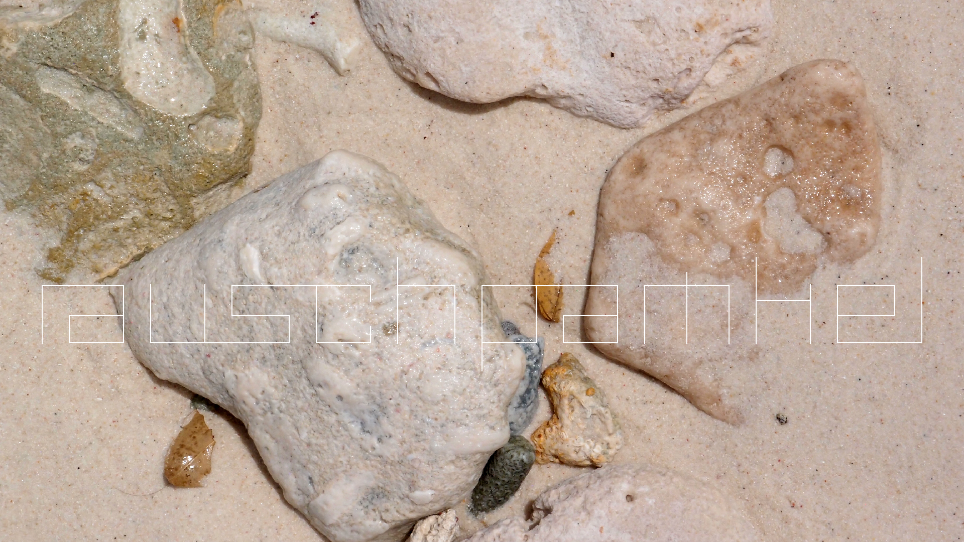 2022-04-16 01 Cas Abao (Foto, Video)