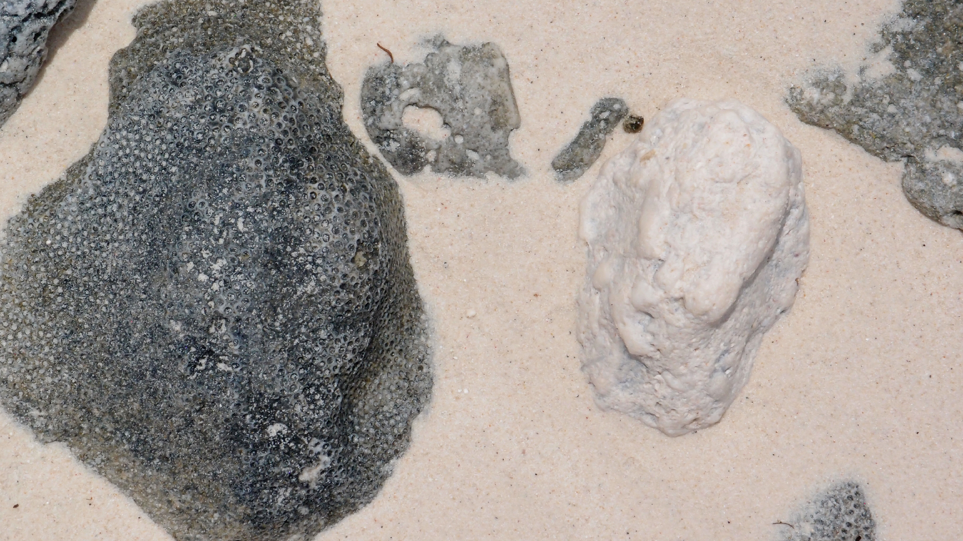 2022-04-16 01 Cas Abao (Foto, Video)