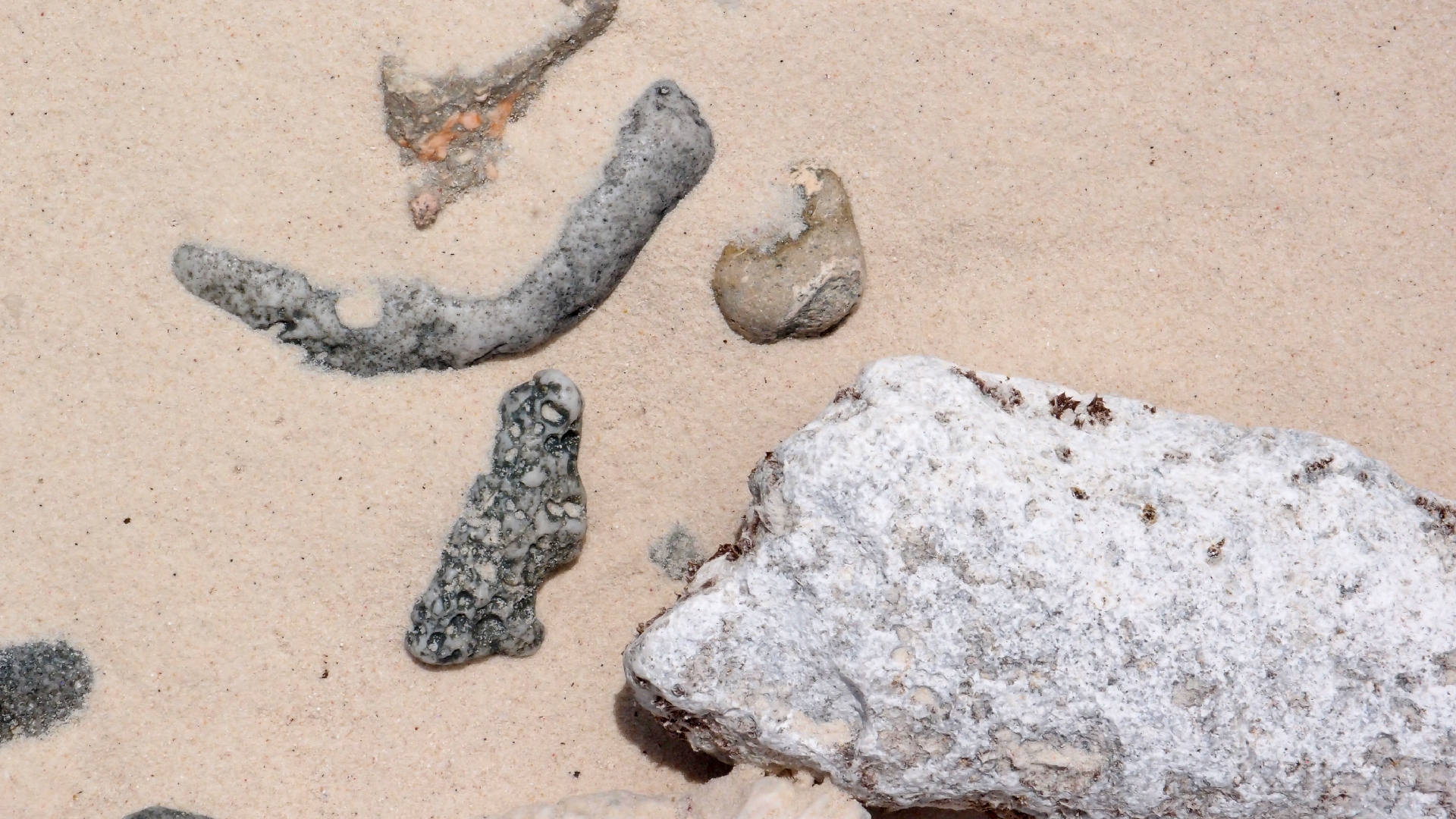 2022-04-16 01 Cas Abao (Foto, Video)