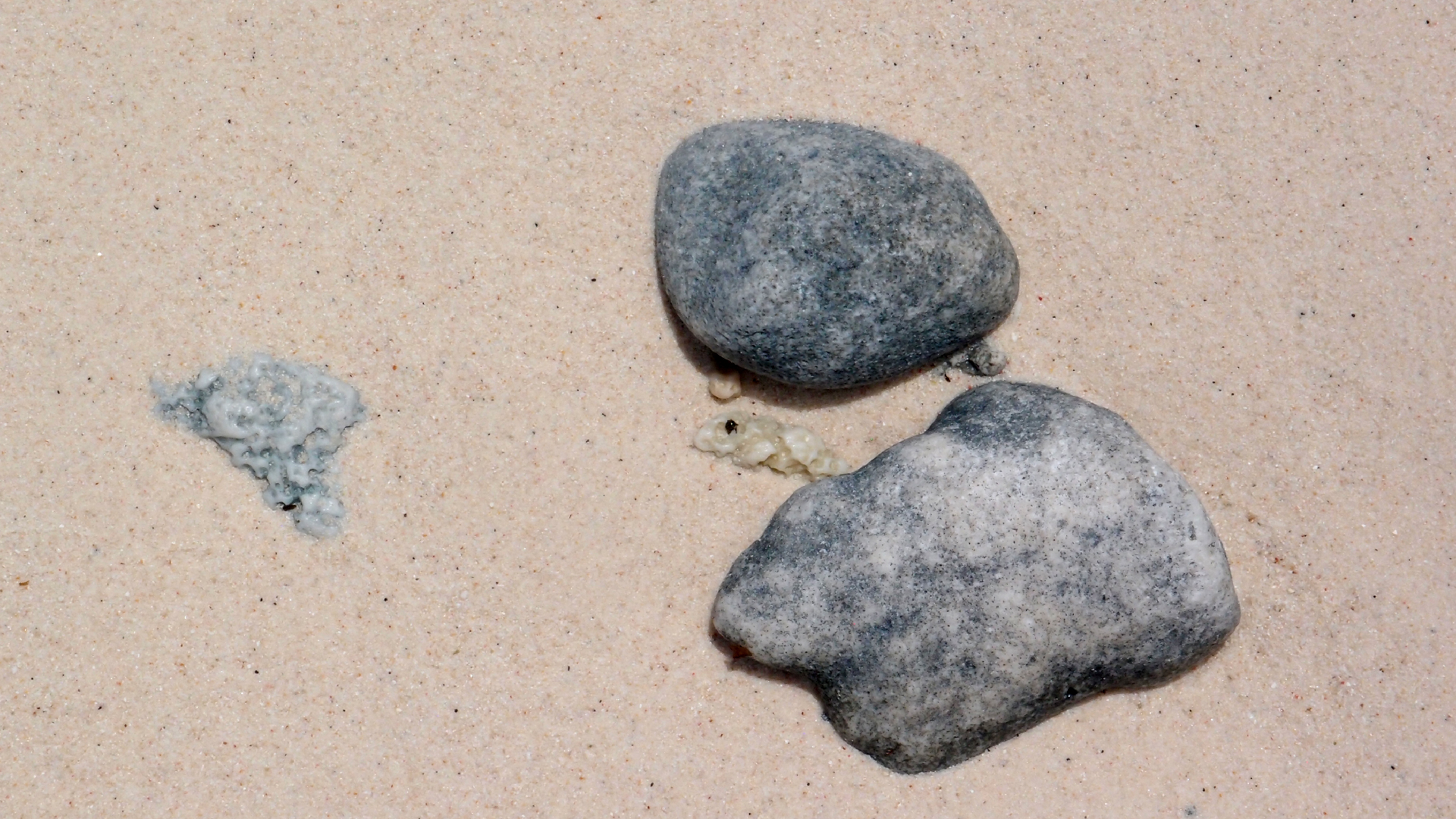 2022-04-16 01 Cas Abao (Foto, Video)