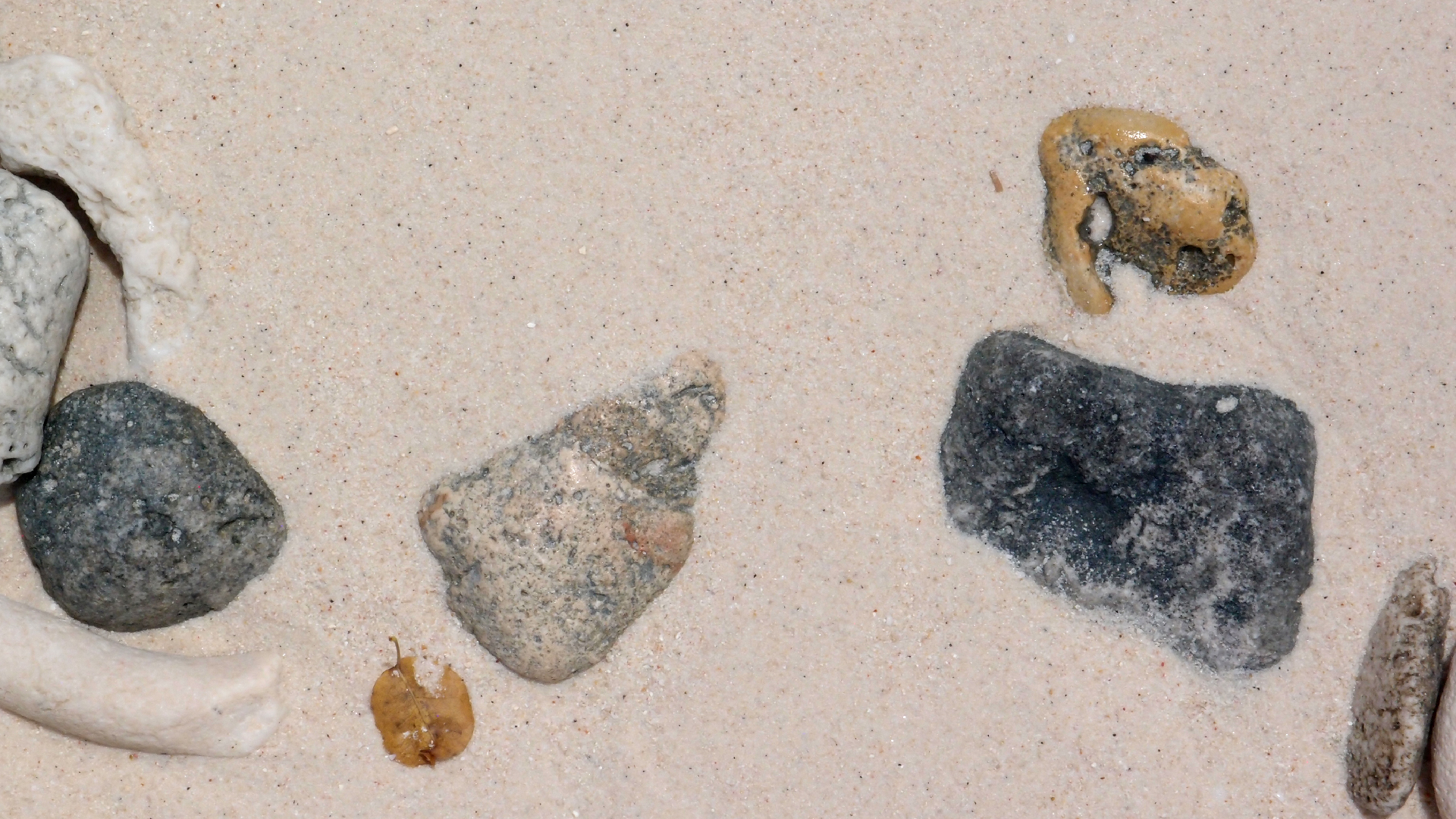 2022-04-16 01 Cas Abao (Foto, Video)