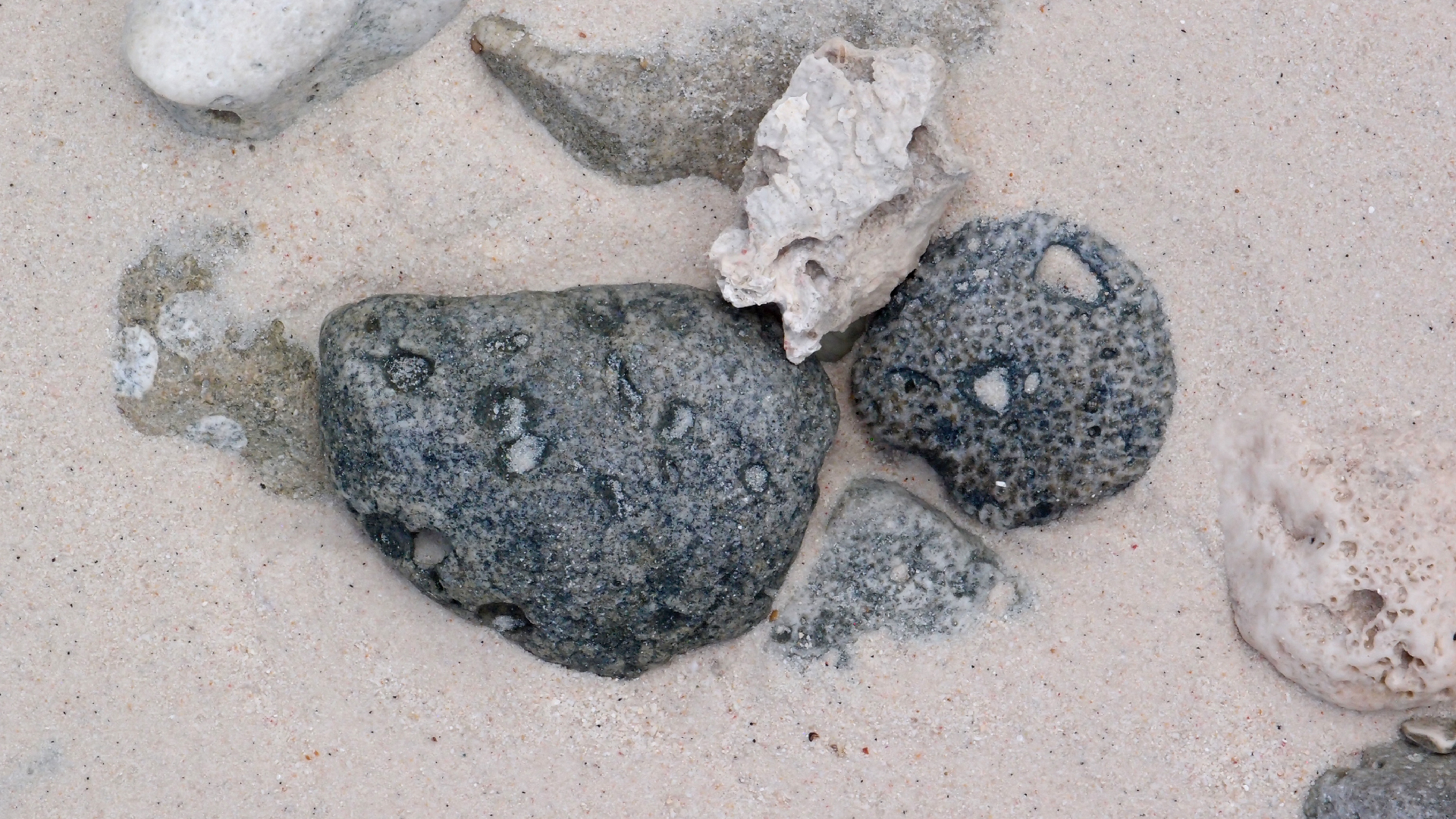 2022-04-16 01 Cas Abao (Foto, Video)