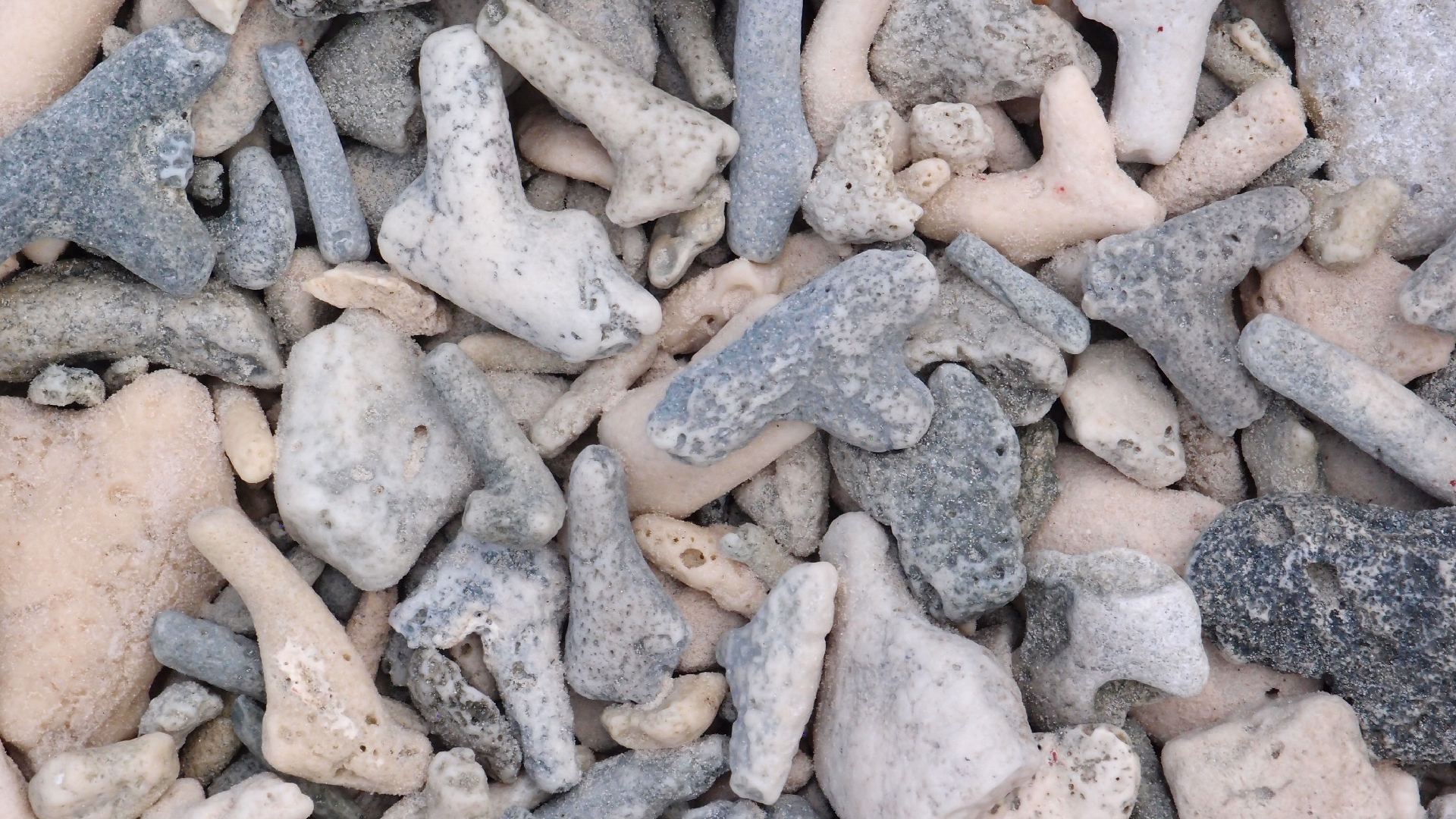 2022-04-16 01 Cas Abao (Foto, Video)