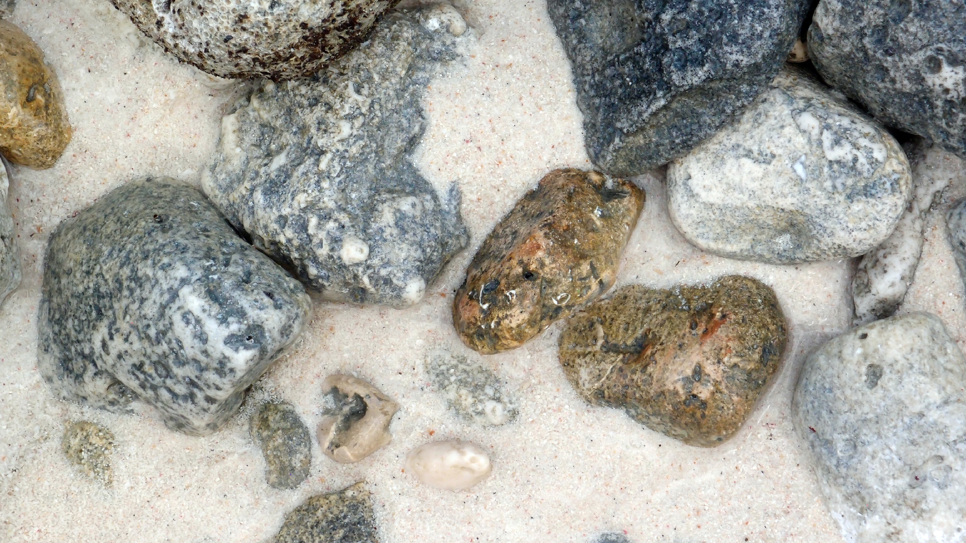 2022-04-16 01 Cas Abao (Foto, Video)