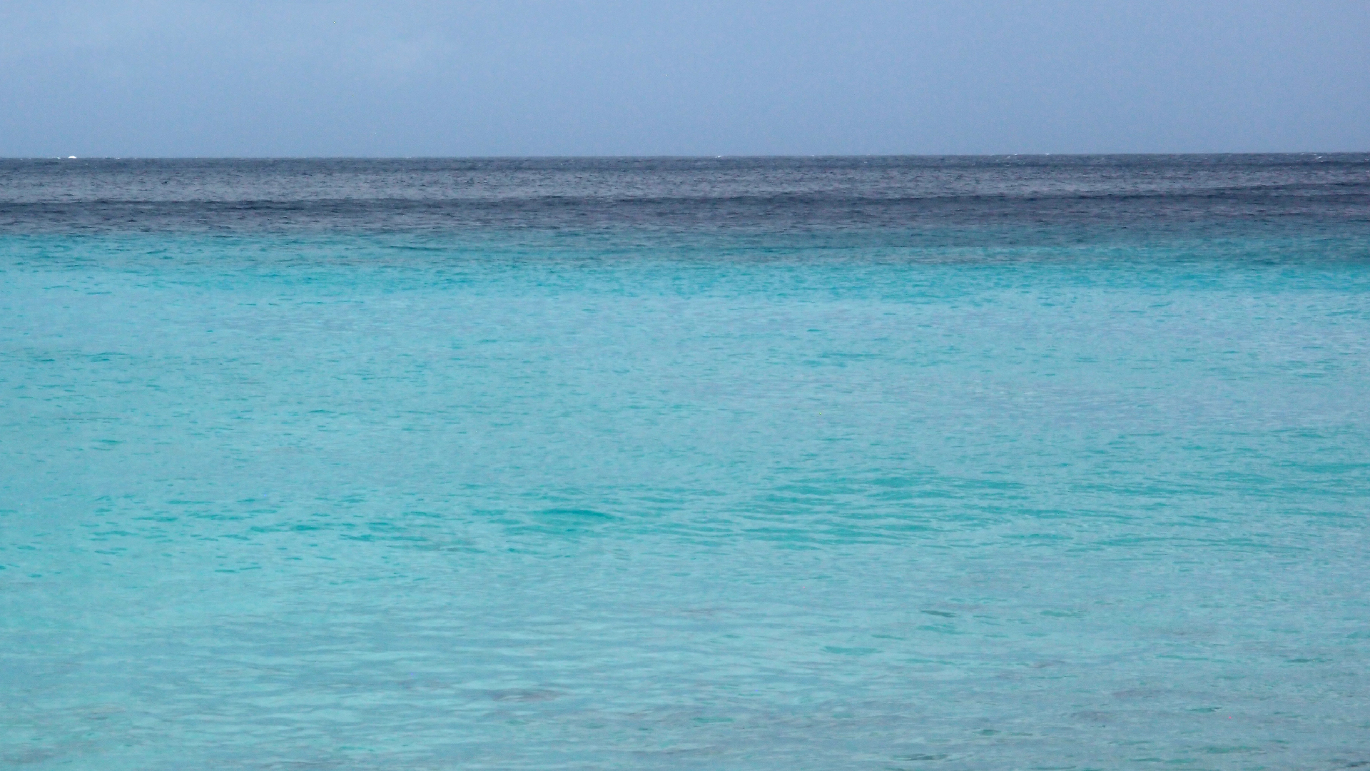 2022-04-16 01 Cas Abao (Foto, Video)