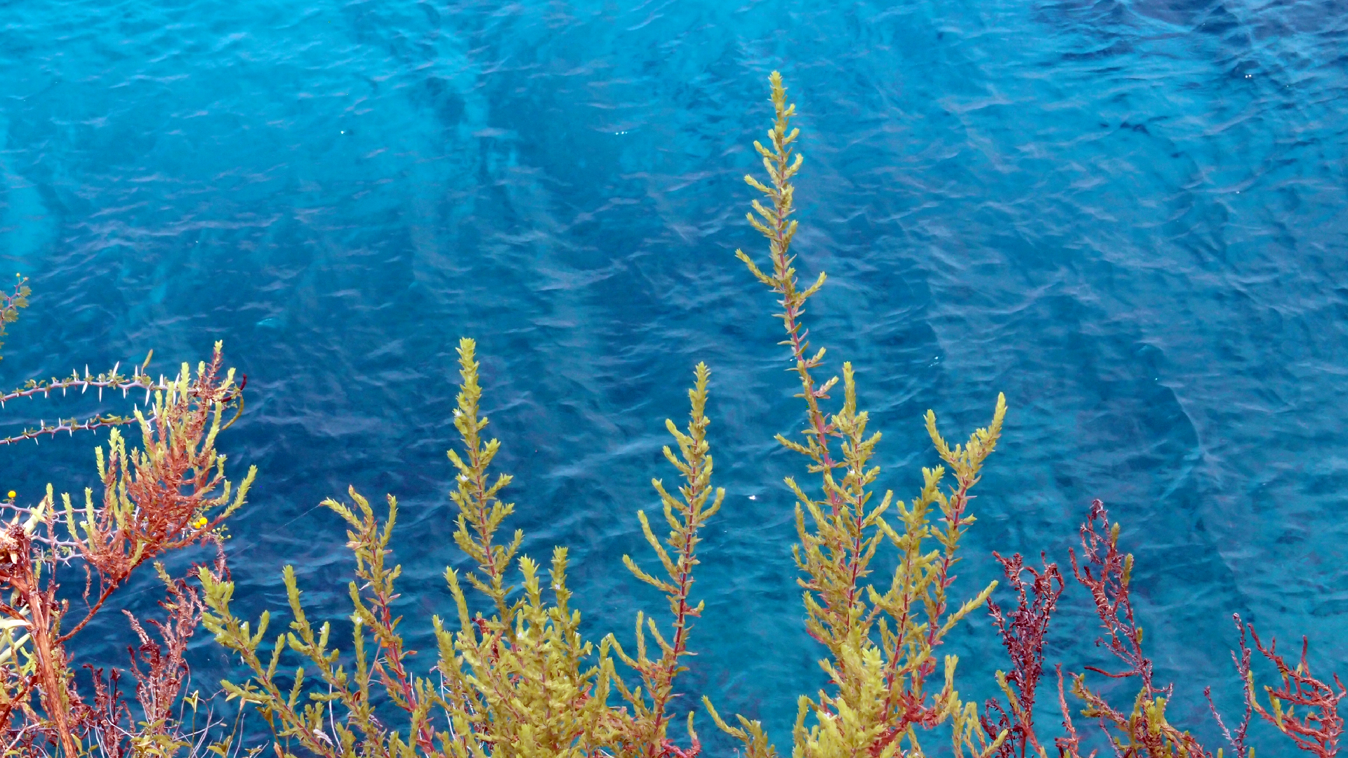 2022-04-17 Wind auf dem Meer (Audio, Foto, Video)