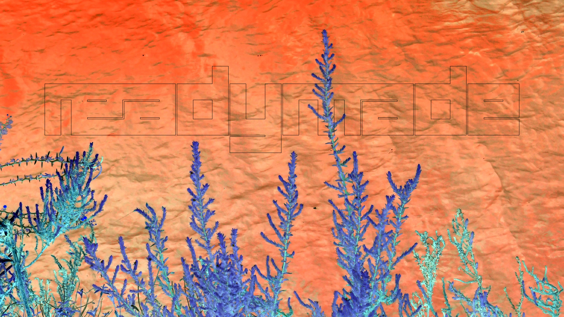 2022-04-17 Wind auf dem Meer (Audio, Foto, Video)