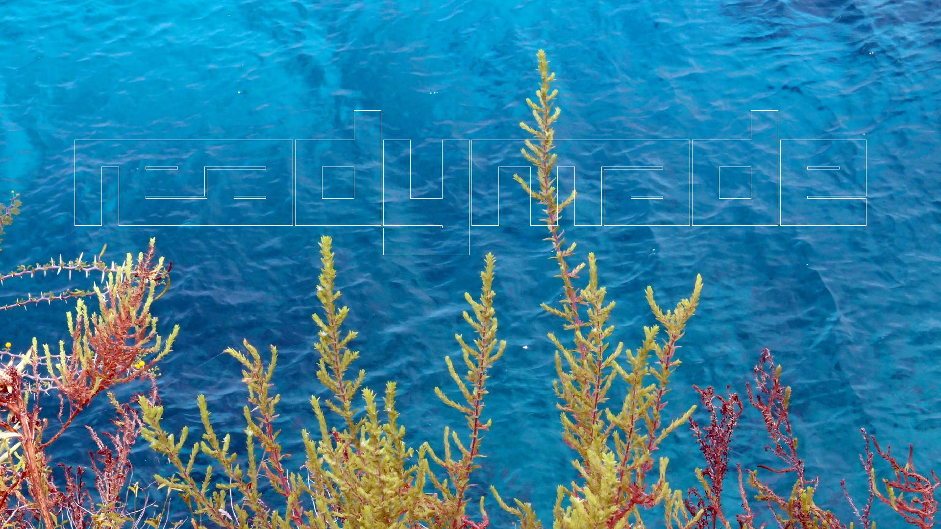 2022-04-17 Wind auf dem Meer (Audio, Foto, Video)