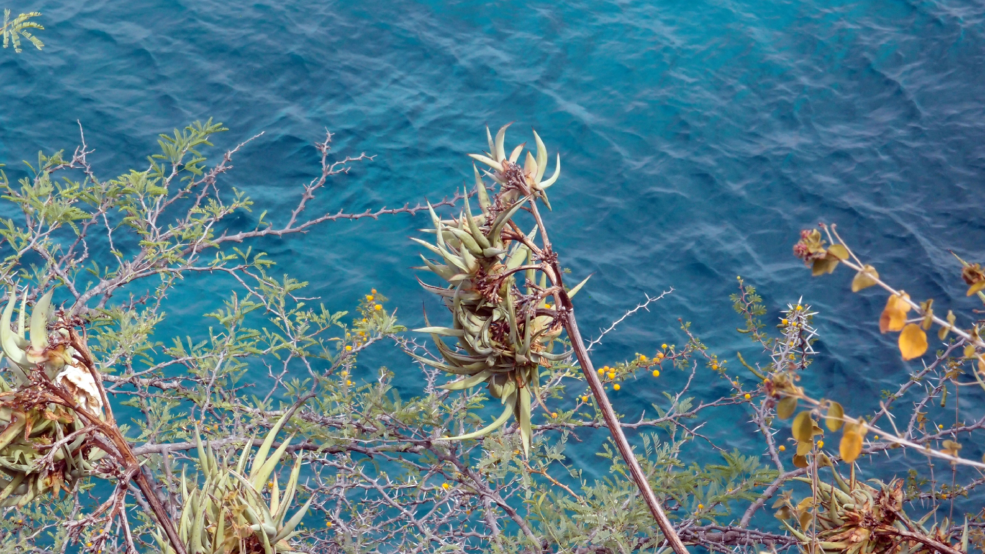 2022-04-17 Wind auf dem Meer (Audio, Foto, Video)