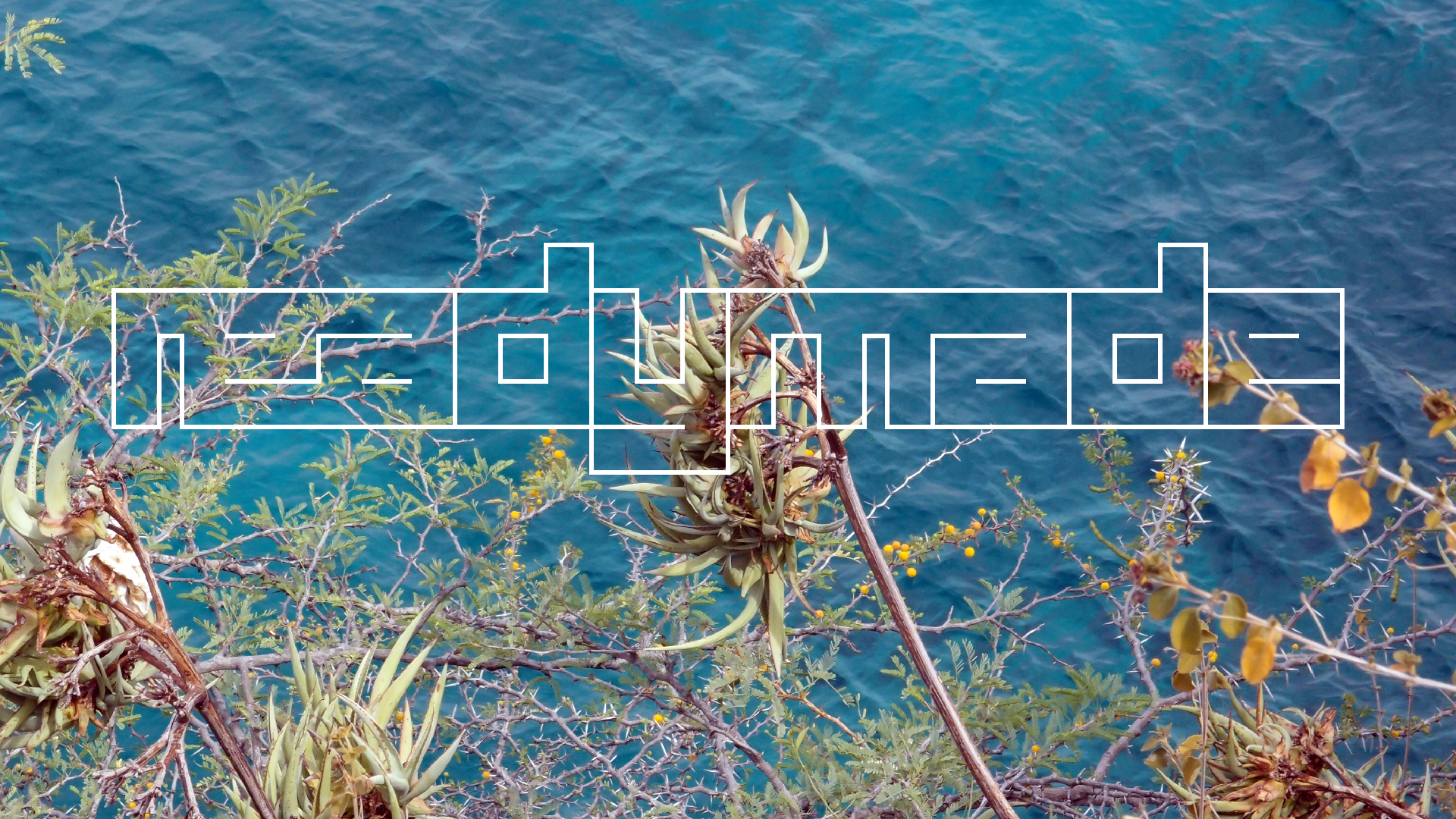 2022-04-17 Wind auf dem Meer (Audio, Foto, Video)