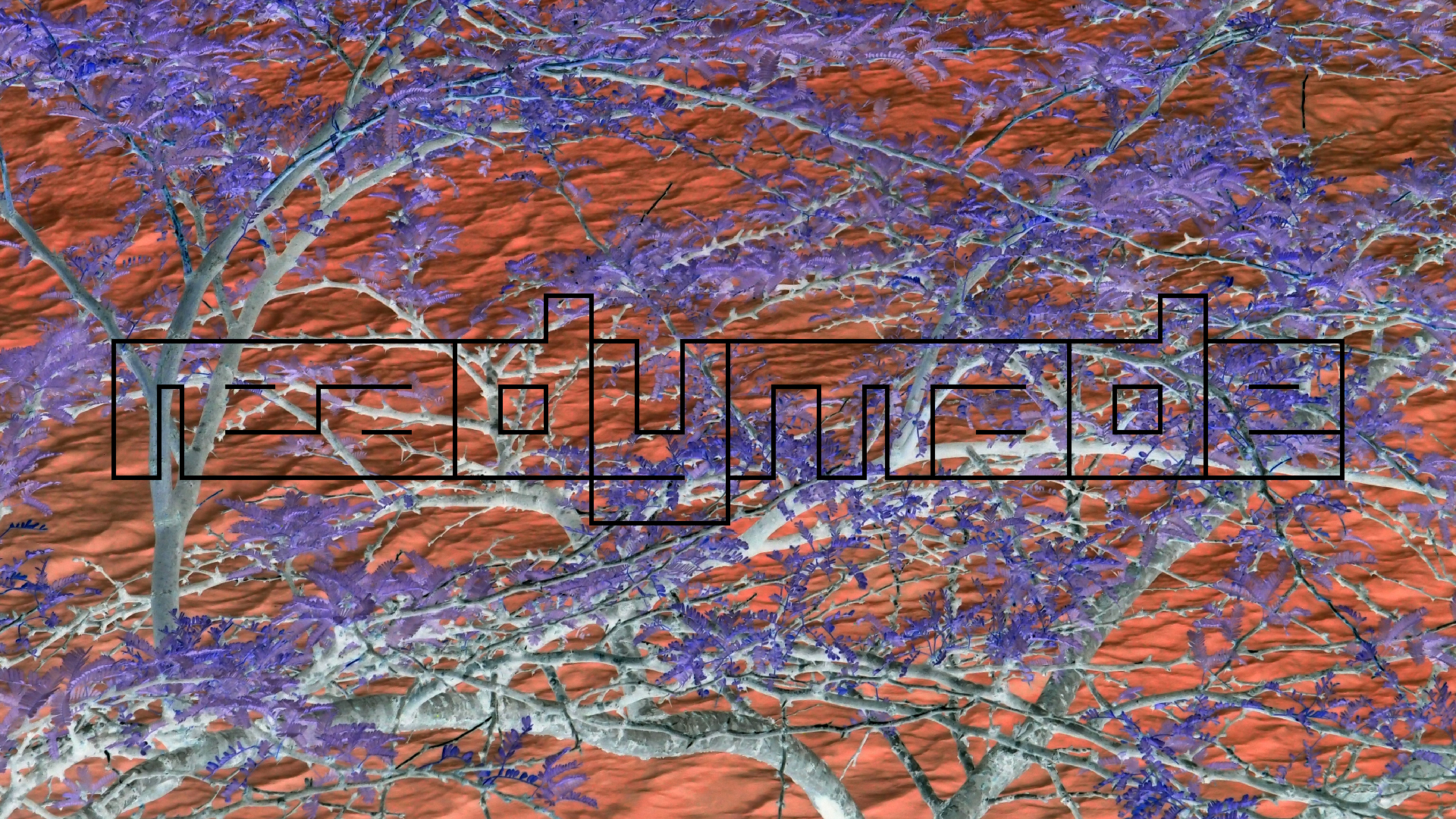 2022-04-17 Wind auf dem Meer (Audio, Foto, Video)