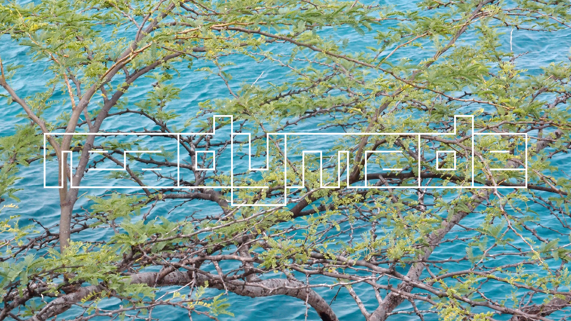 2022-04-17 Wind auf dem Meer (Audio, Foto, Video)