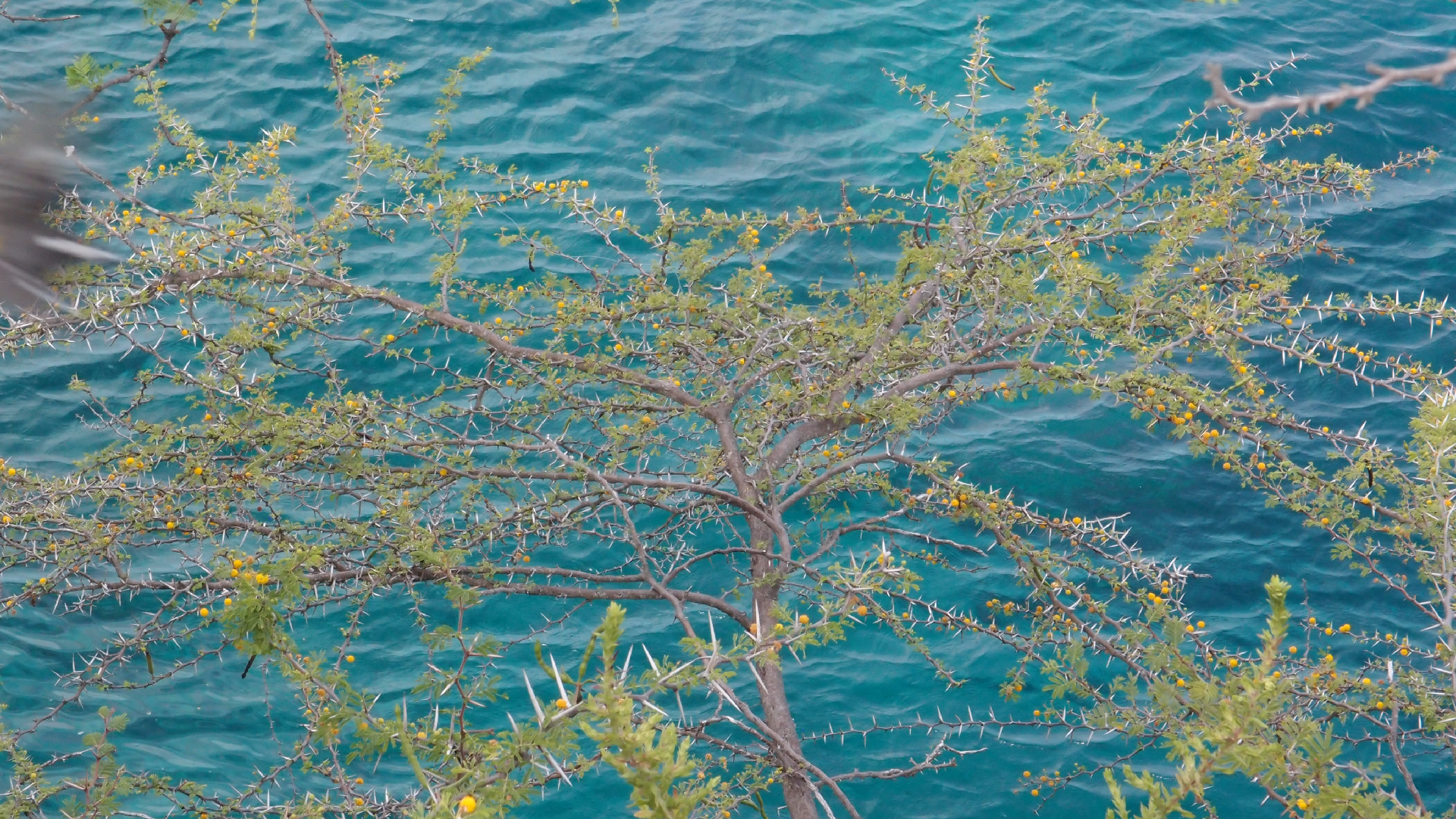 2022-04-17 Wind auf dem Meer (Audio, Foto, Video)