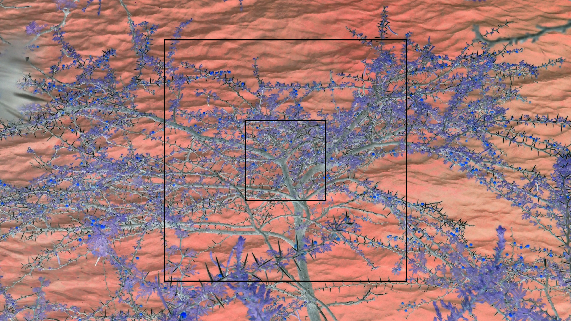 2022-04-17 Wind auf dem Meer (Audio, Foto, Video)