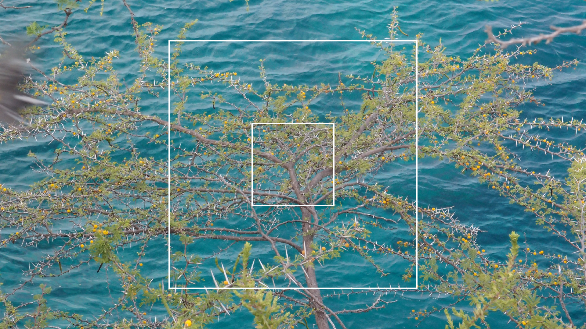 2022-04-17 Wind auf dem Meer (Audio, Foto, Video)