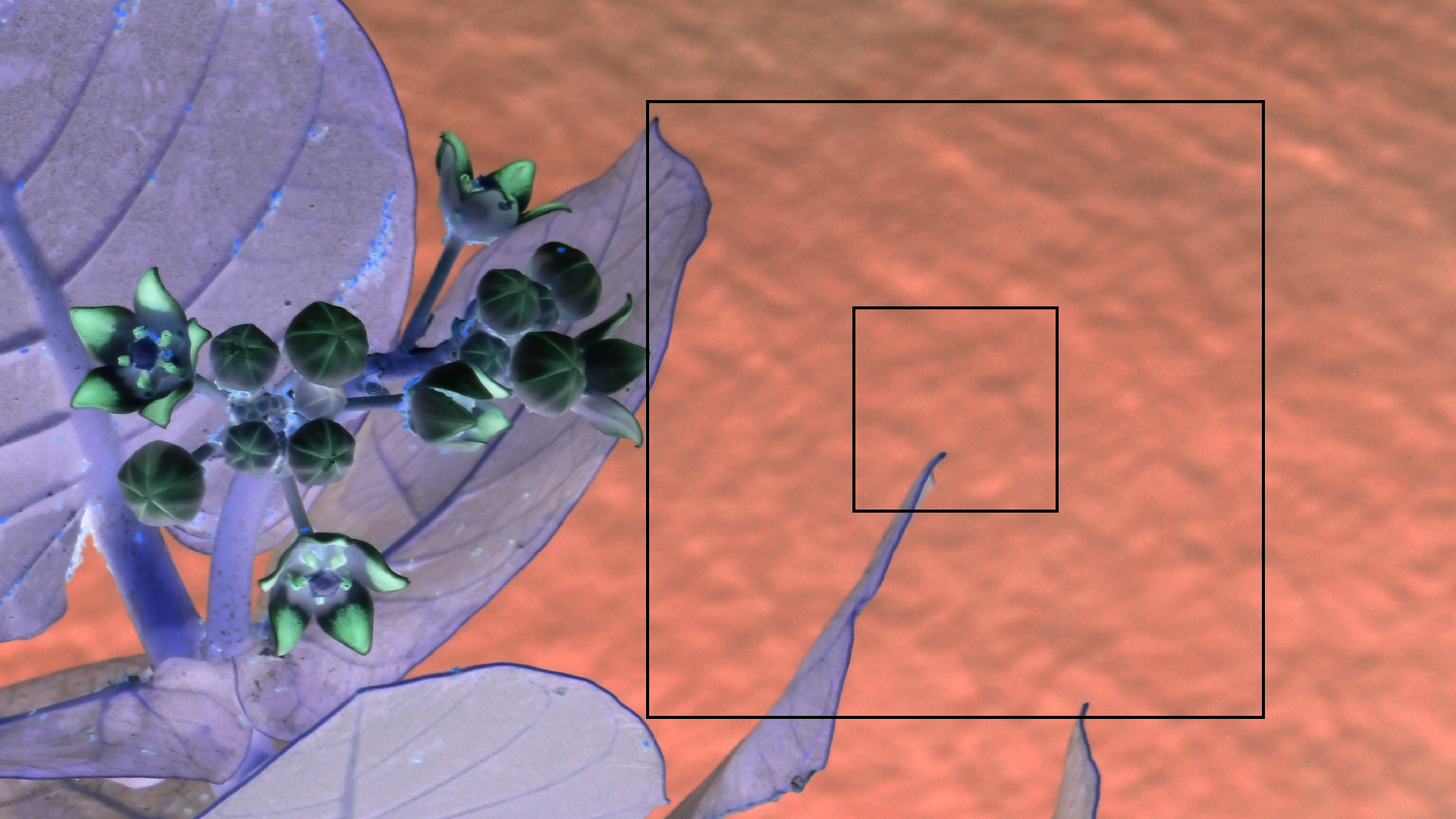 2022-04-17 Wind auf dem Meer (Audio, Foto, Video)