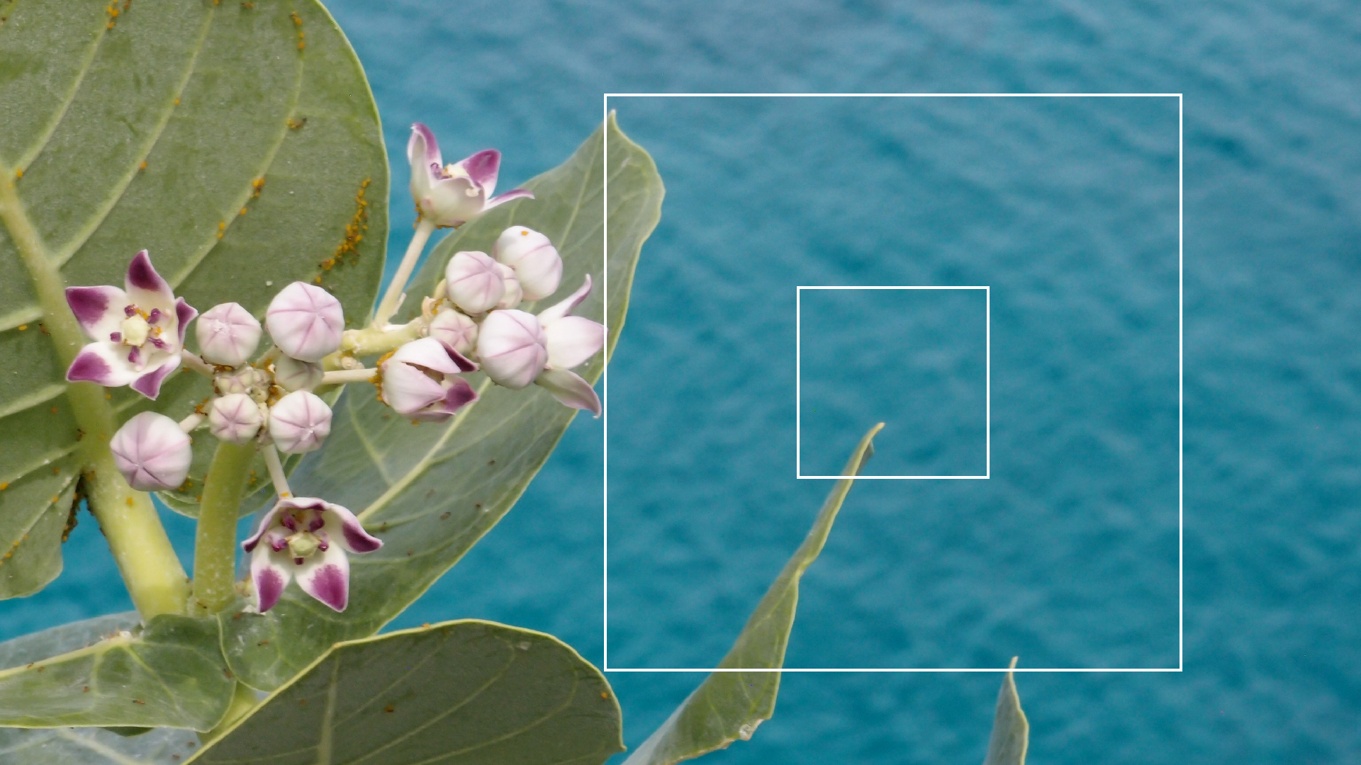 2022-04-17 Wind auf dem Meer (Audio, Foto, Video)