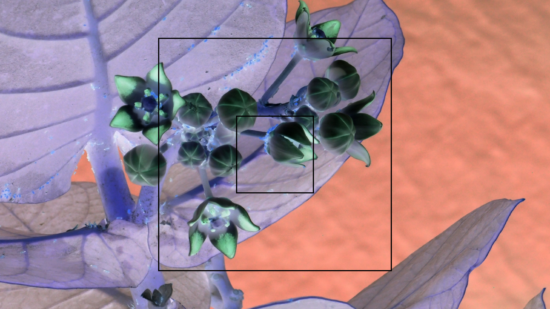 2022-04-17 Wind auf dem Meer (Audio, Foto, Video)