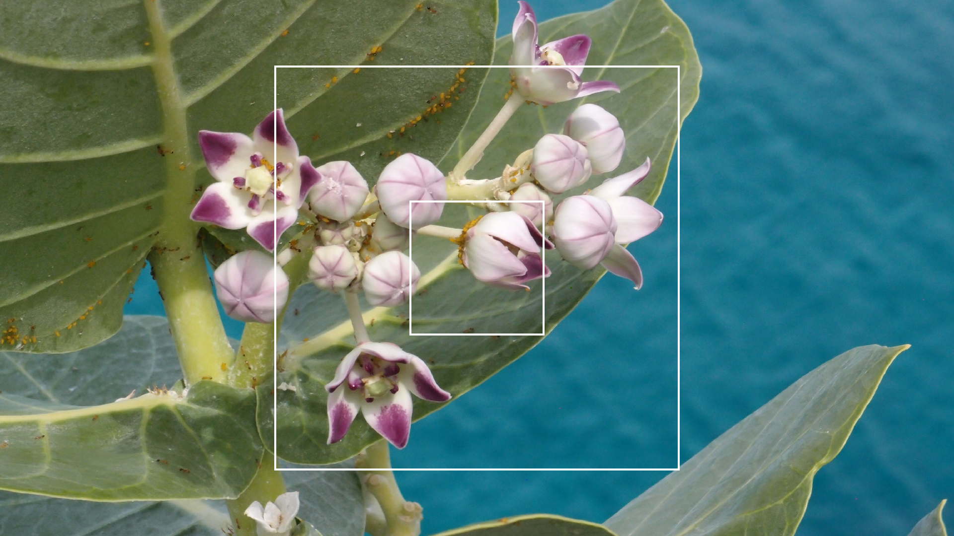 2022-04-17 Wind auf dem Meer (Audio, Foto, Video)