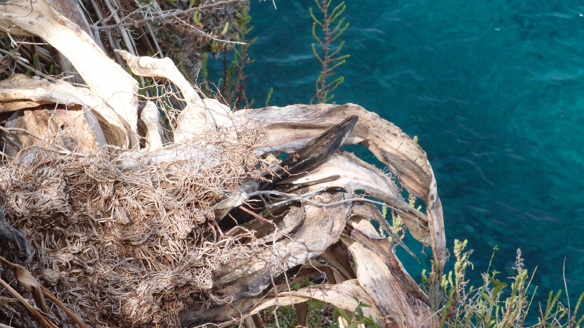 2022-04-17 Wind auf dem Meer (Audio, Foto, Video)