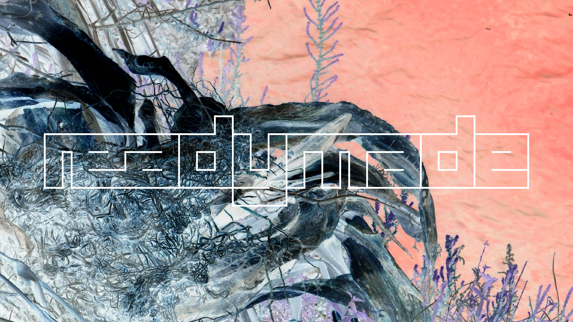 2022-04-17 Wind auf dem Meer (Audio, Foto, Video)