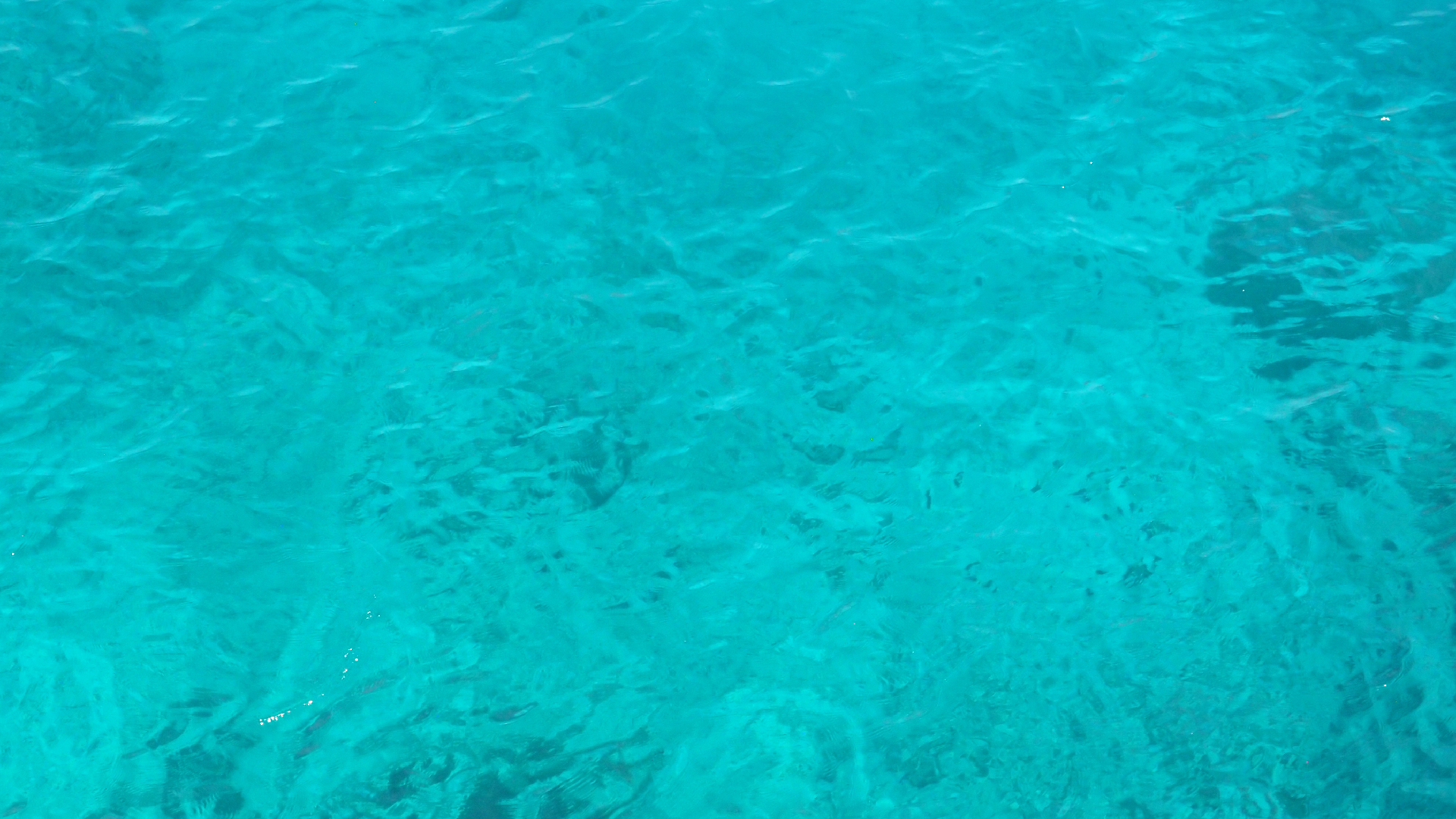 2022-04-17 Wind auf dem Meer (Audio, Foto, Video)