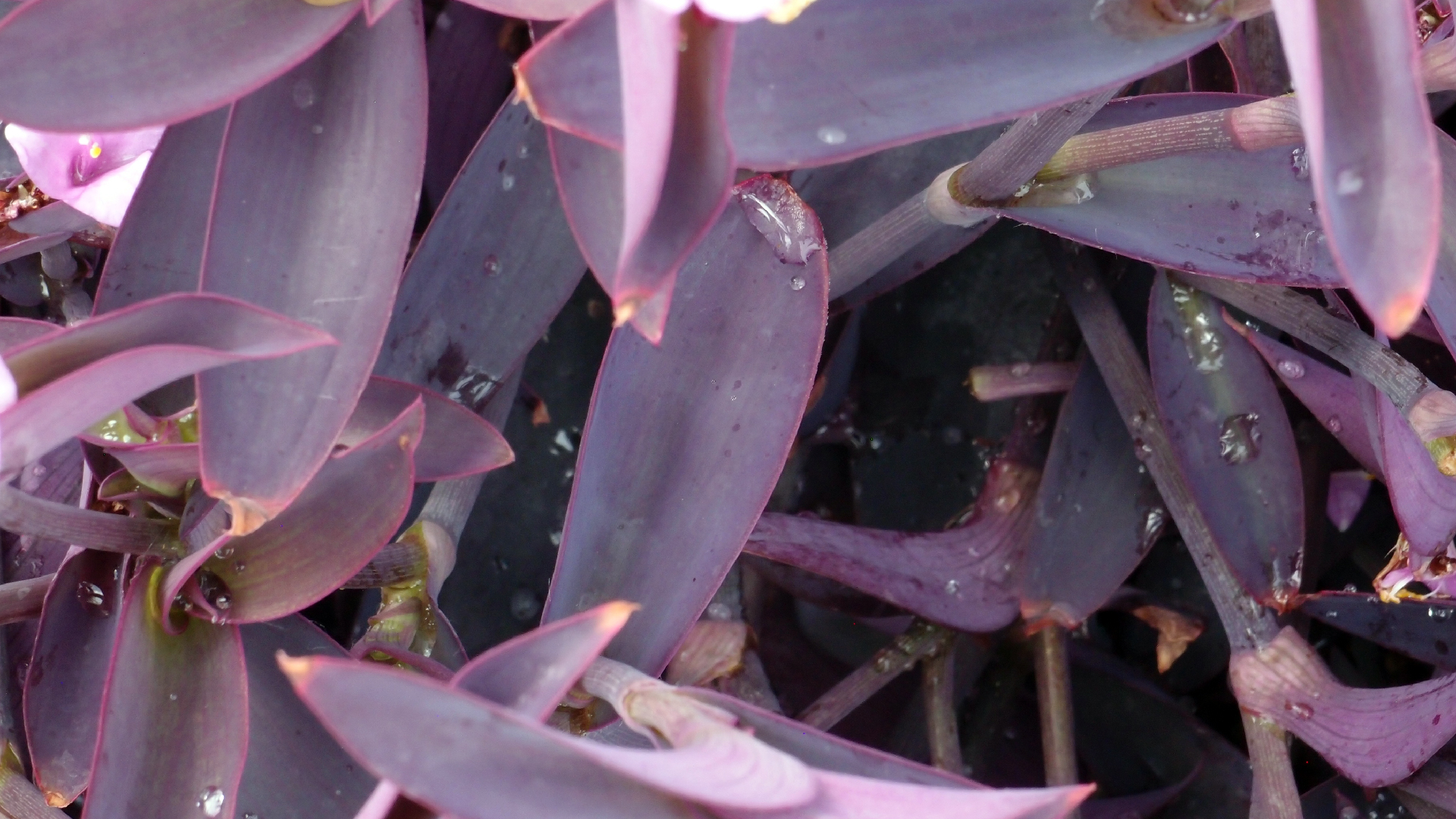 2022-04-17 Wind auf dem Meer (Audio, Foto, Video)