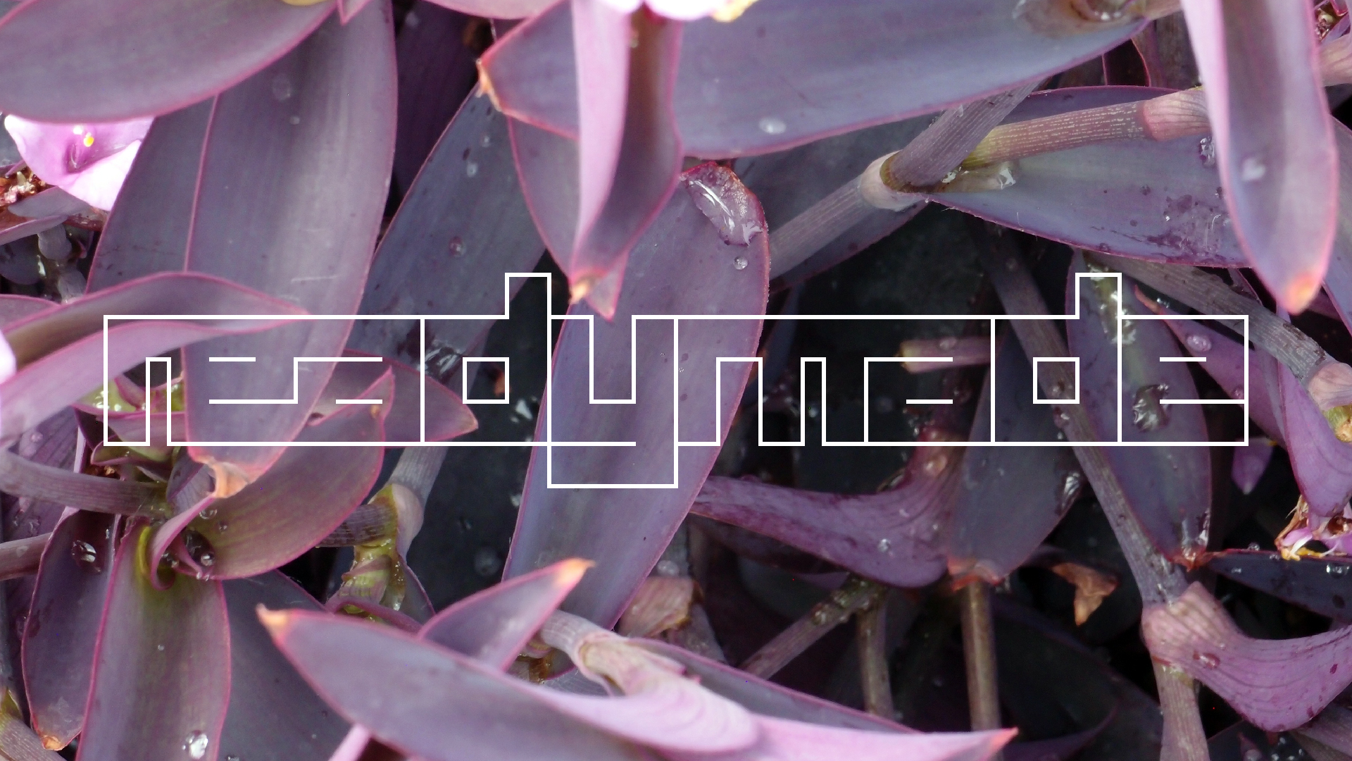 2022-04-17 Wind auf dem Meer (Audio, Foto, Video)