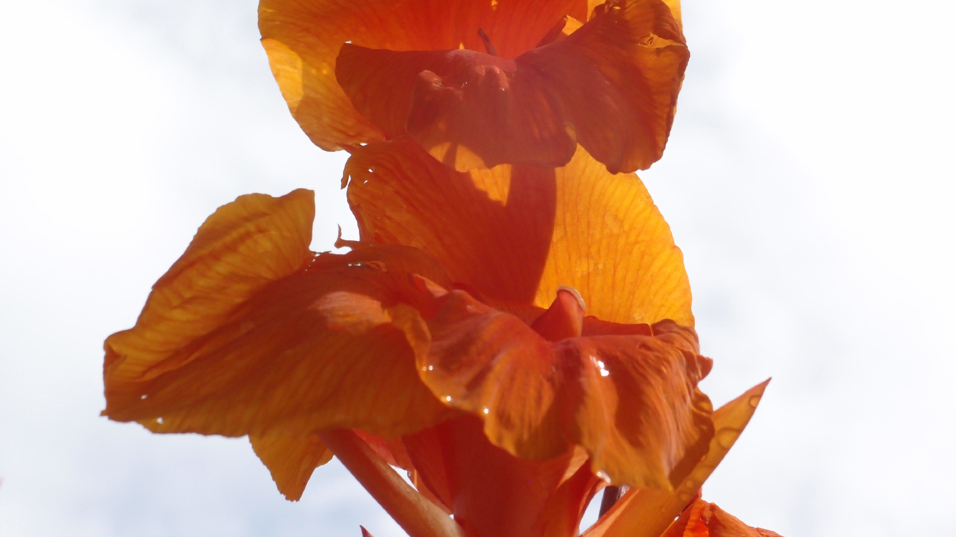 2022-04-17 Wind auf dem Meer (Audio, Foto, Video)