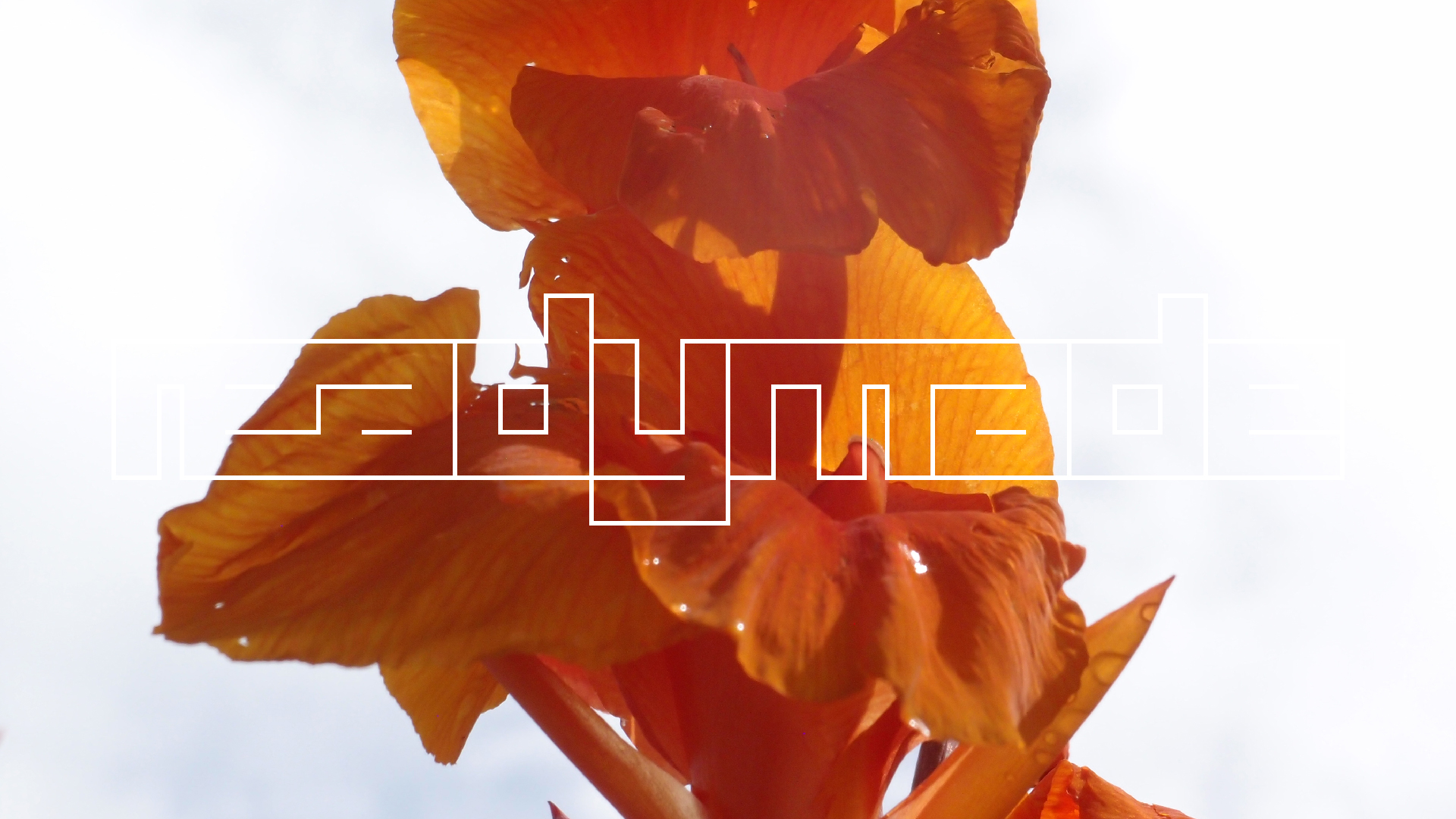 2022-04-17 Wind auf dem Meer (Audio, Foto, Video)