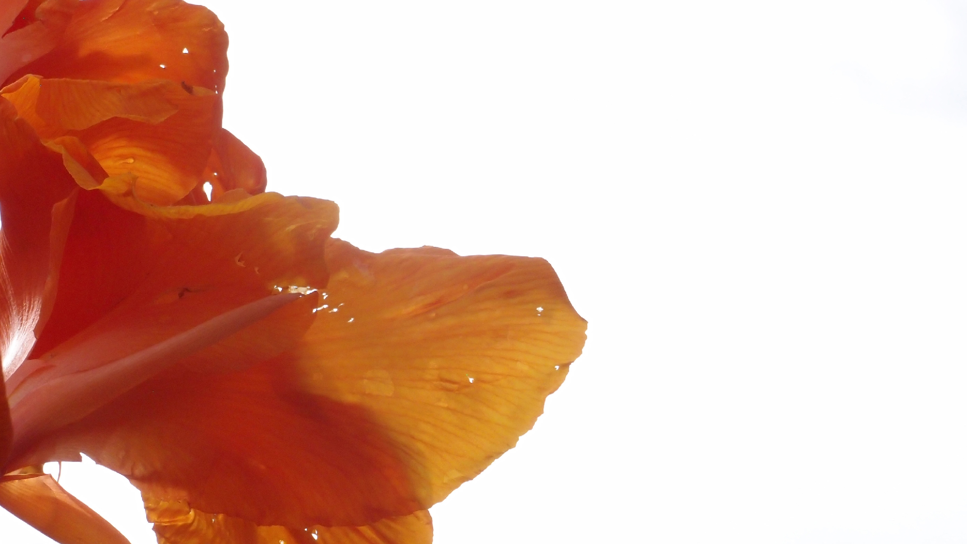 2022-04-17 Wind auf dem Meer (Audio, Foto, Video)