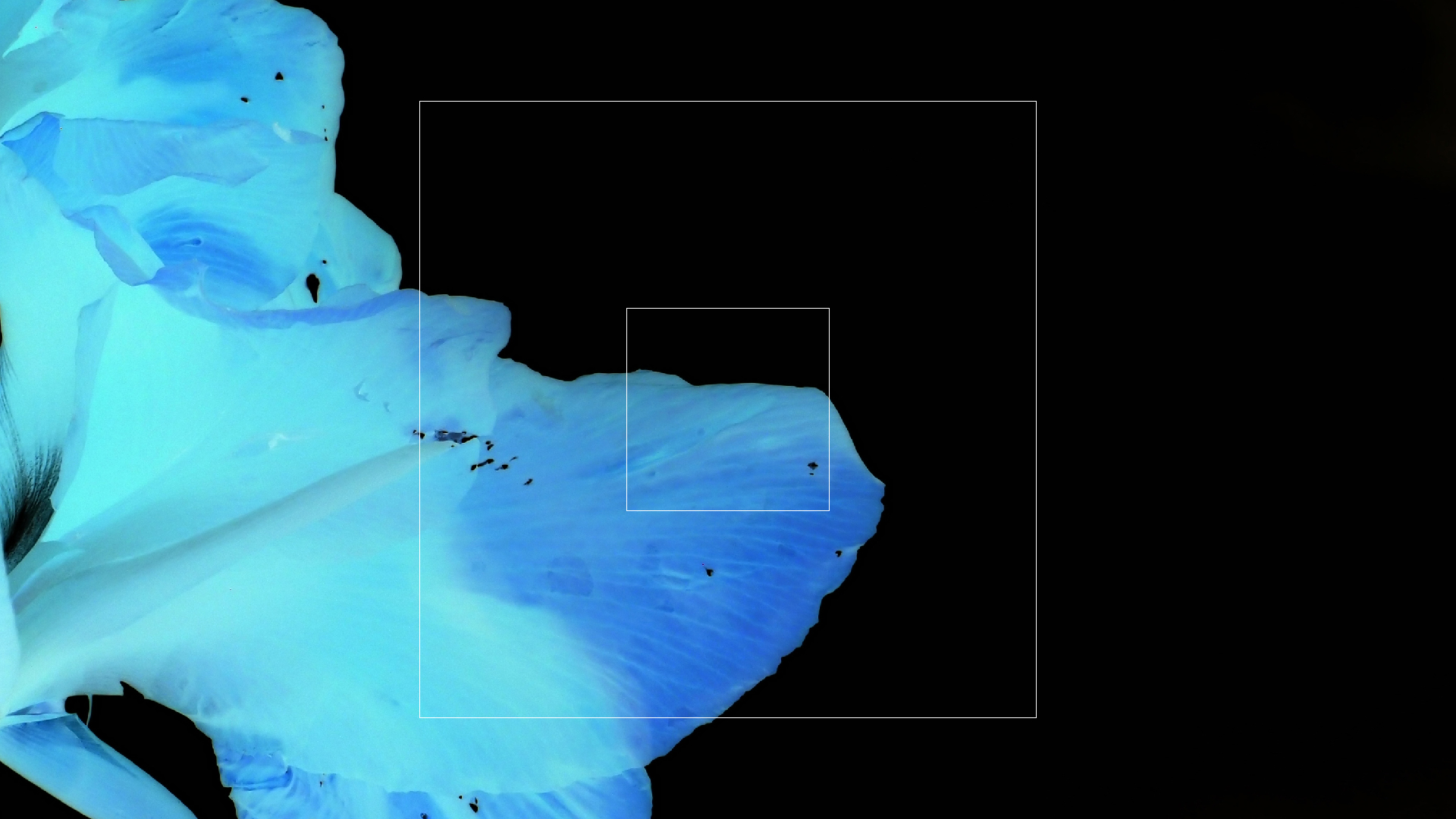 2022-04-17 Wind auf dem Meer (Audio, Foto, Video)