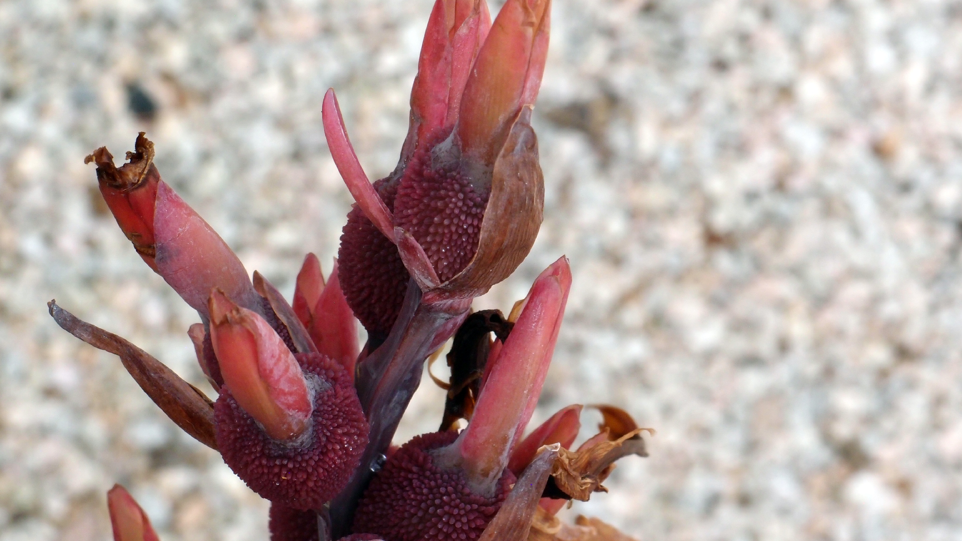2022-04-17 Wind auf dem Meer (Audio, Foto, Video)