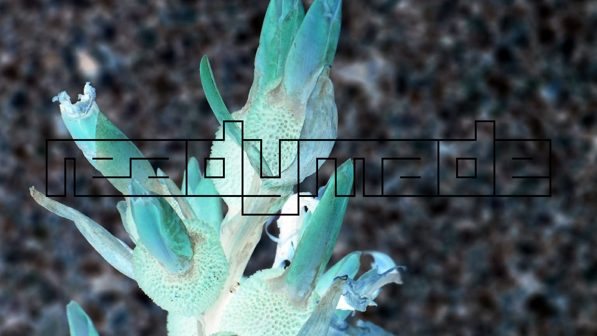 2022-04-17 Wind auf dem Meer (Audio, Foto, Video)