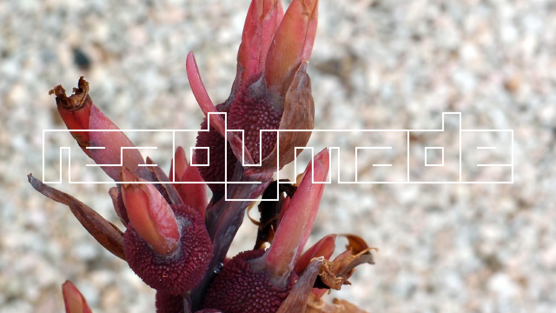 2022-04-17 Wind auf dem Meer (Audio, Foto, Video)