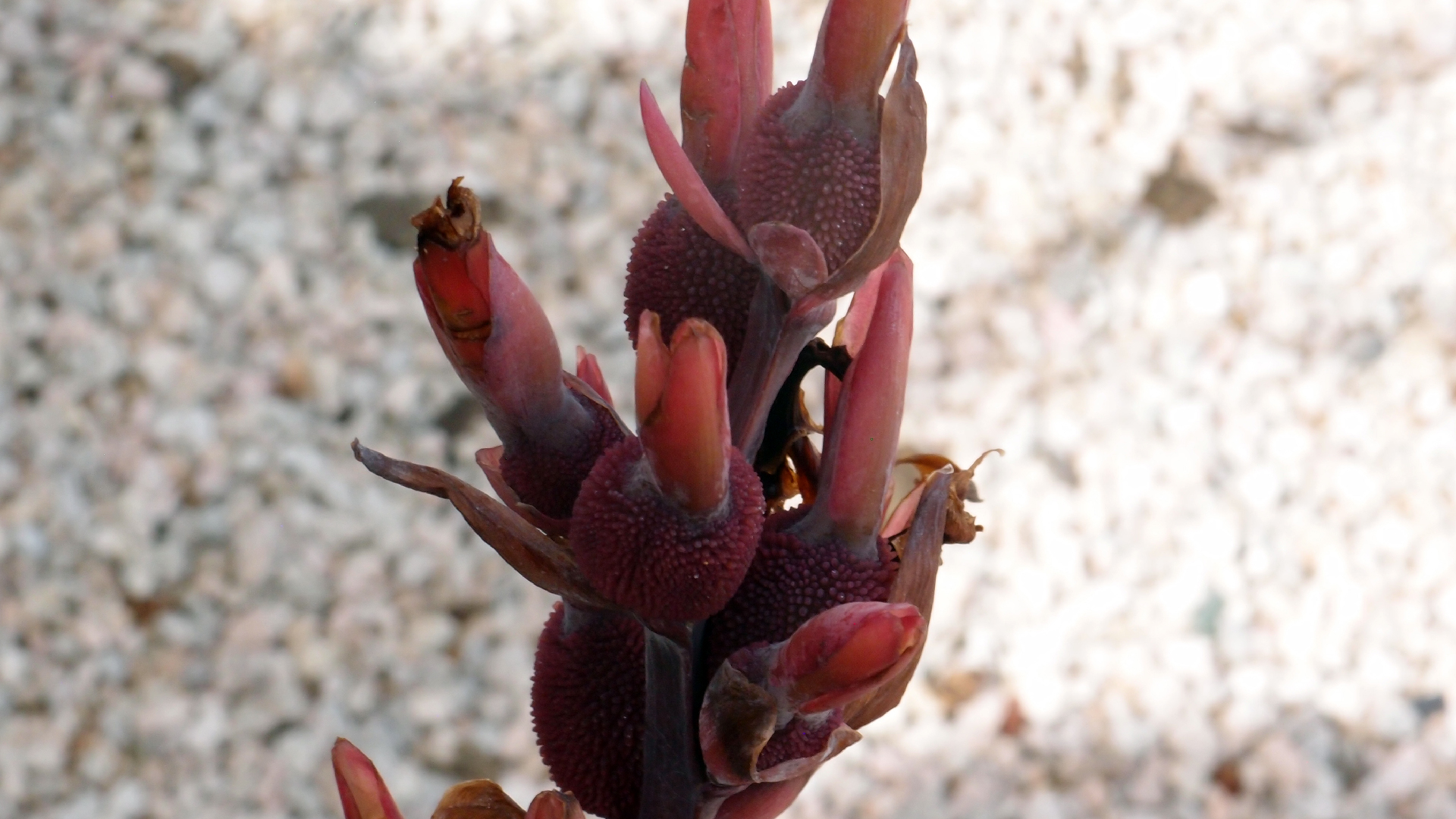 2022-04-17 Wind auf dem Meer (Audio, Foto, Video)