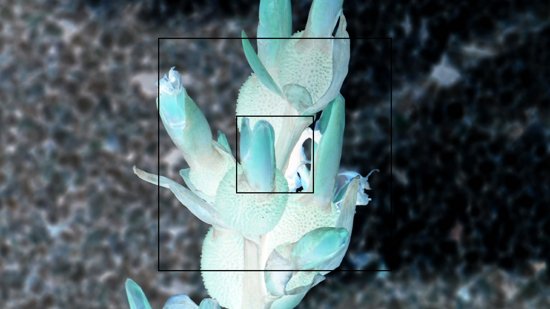 2022-04-17 Wind auf dem Meer (Audio, Foto, Video)