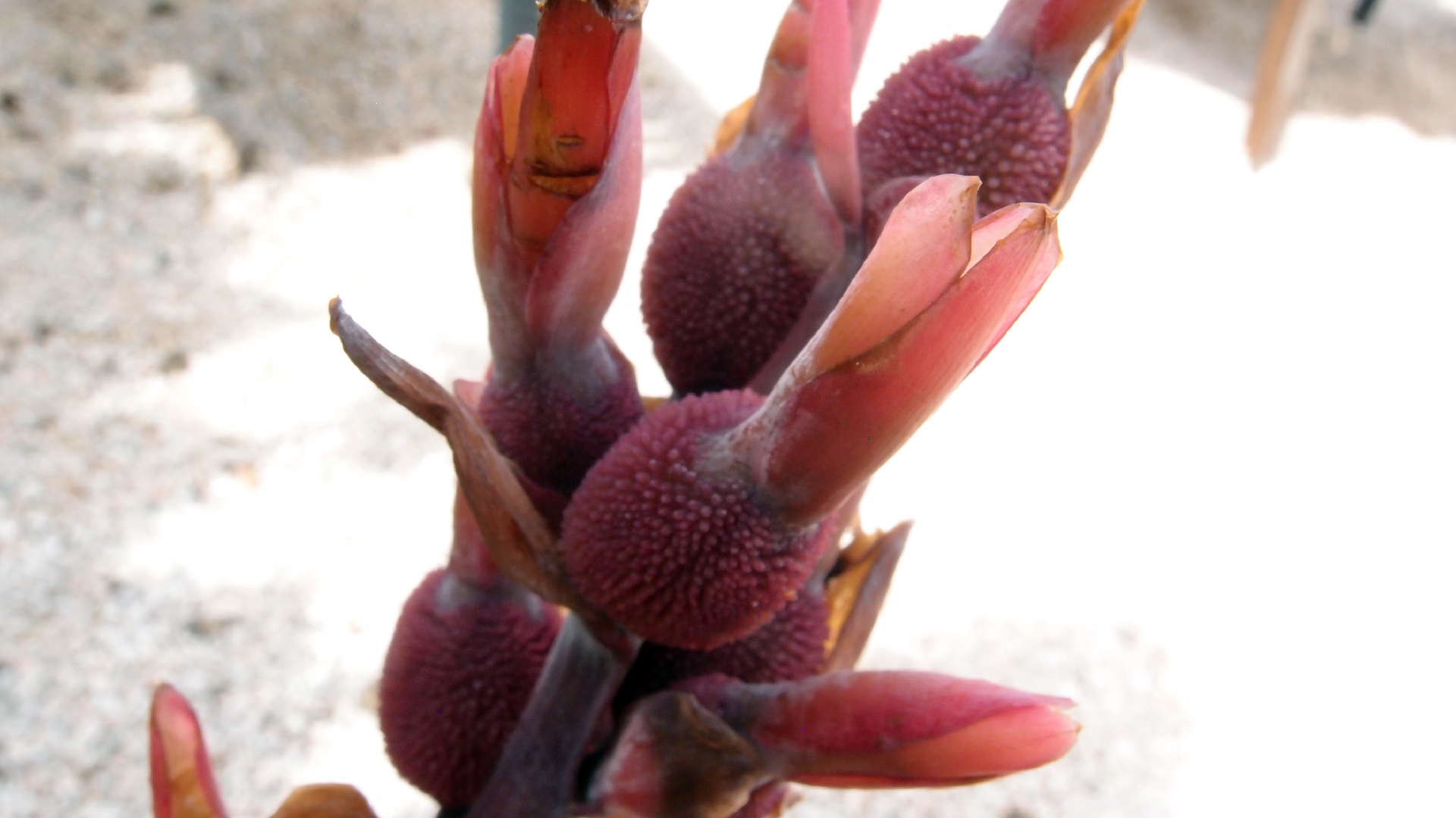 2022-04-17 Wind auf dem Meer (Audio, Foto, Video)